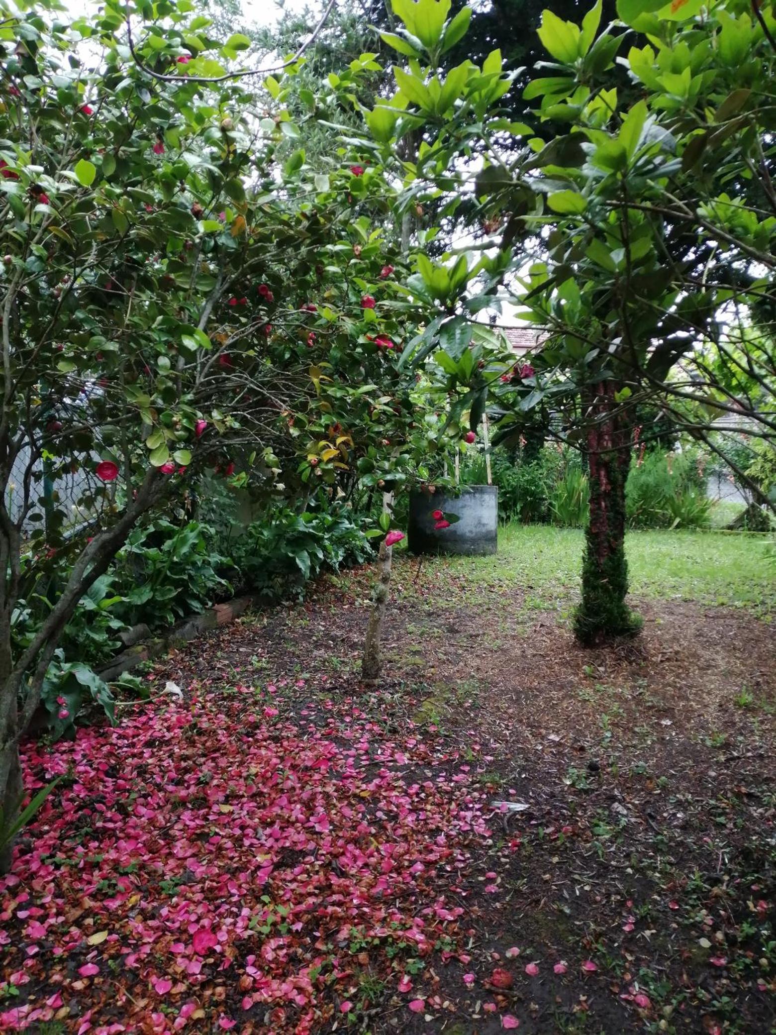 Photo 25