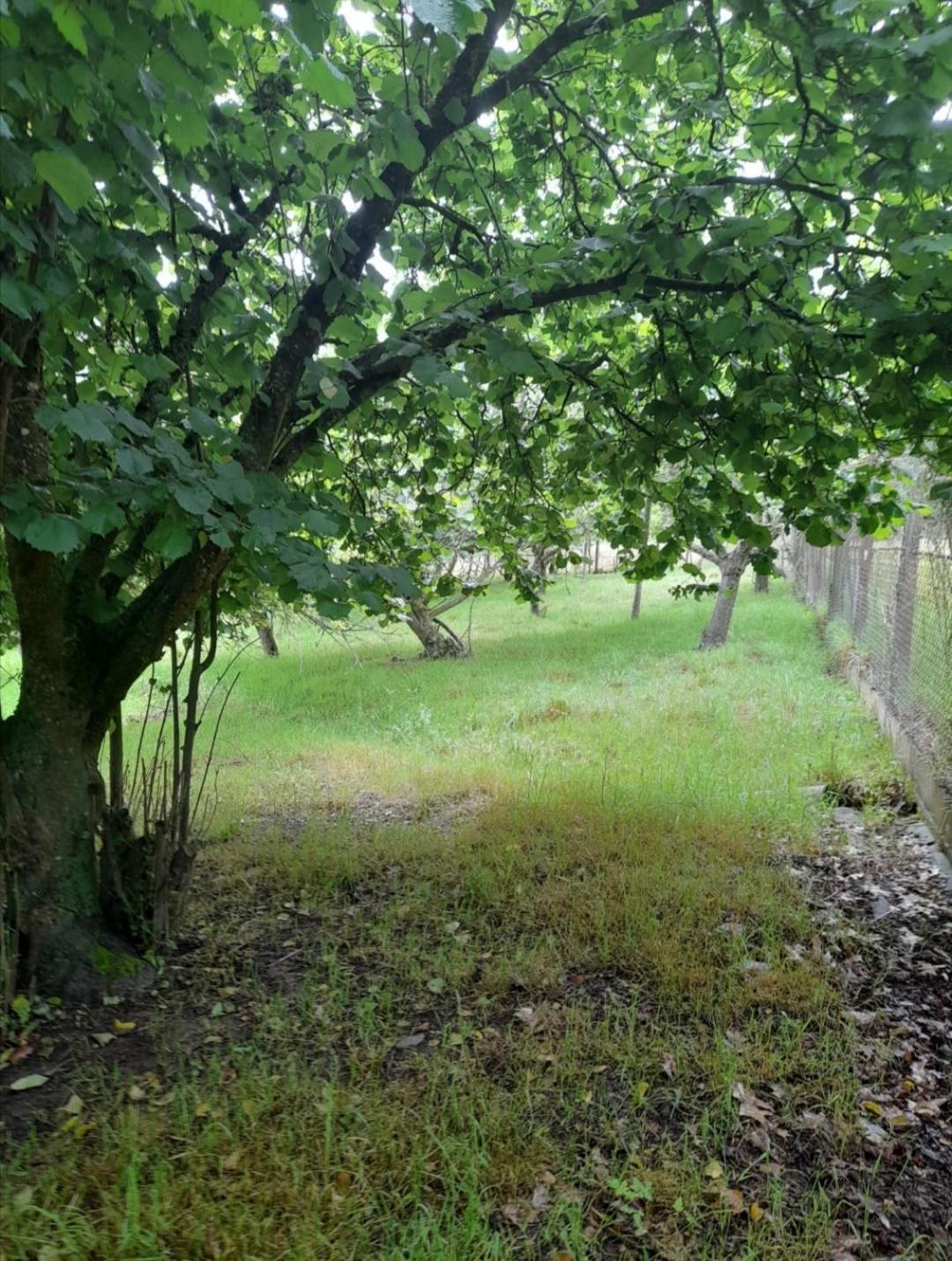 Photo 28