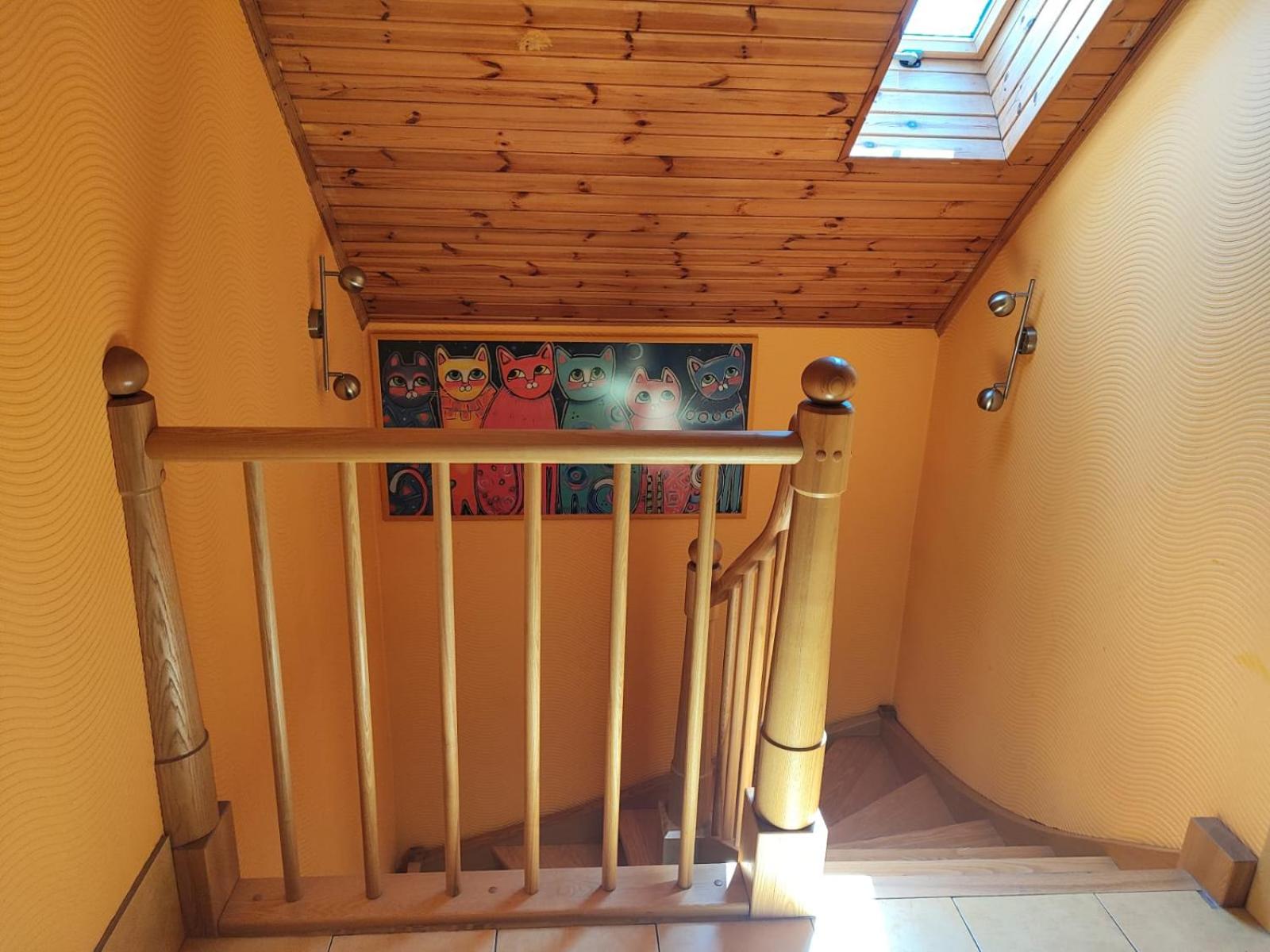 Photo 51