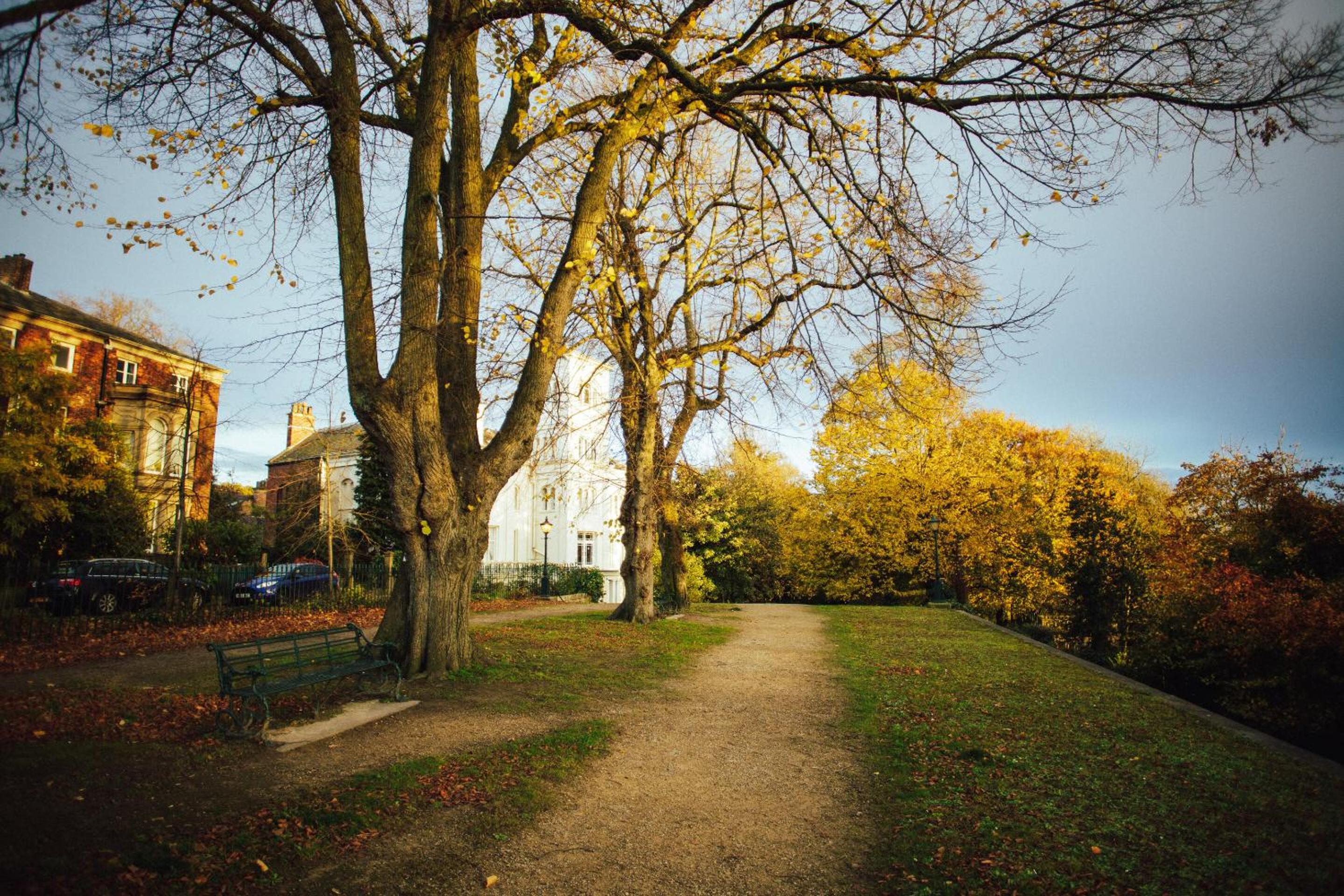 Photo 30