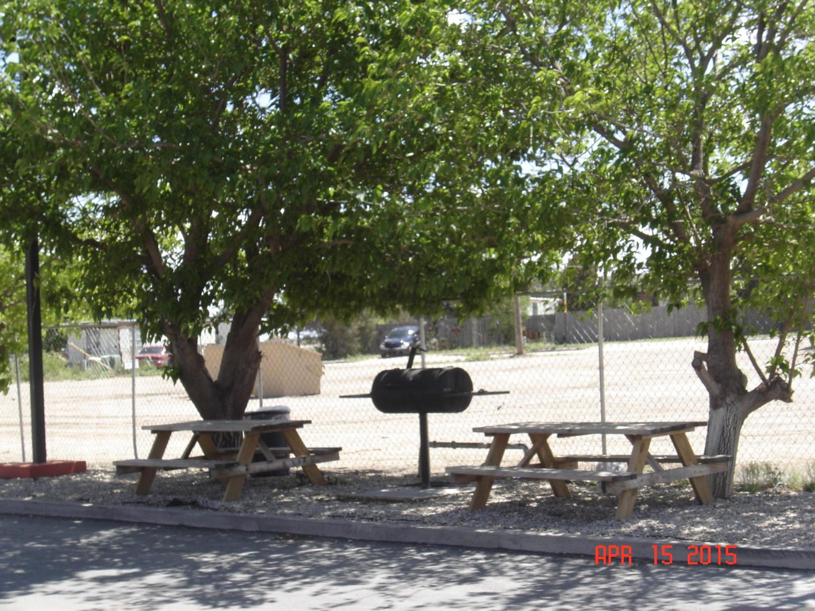 Photo 23