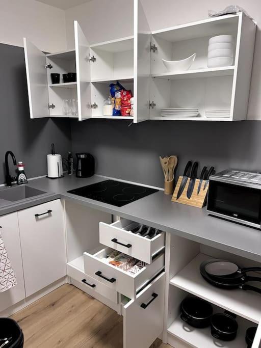 1 Izbovy Apartman - Širšie Centrum view 4