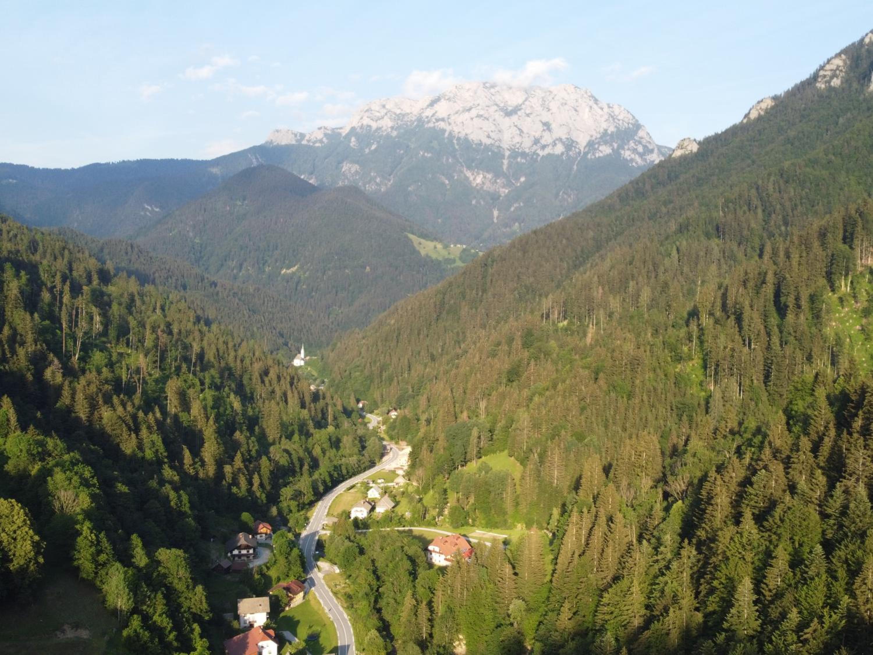 Photo 10