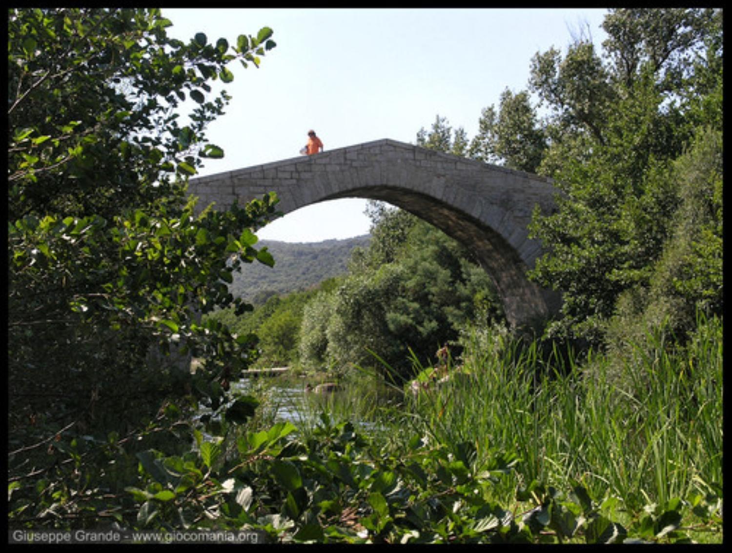 Photo 37