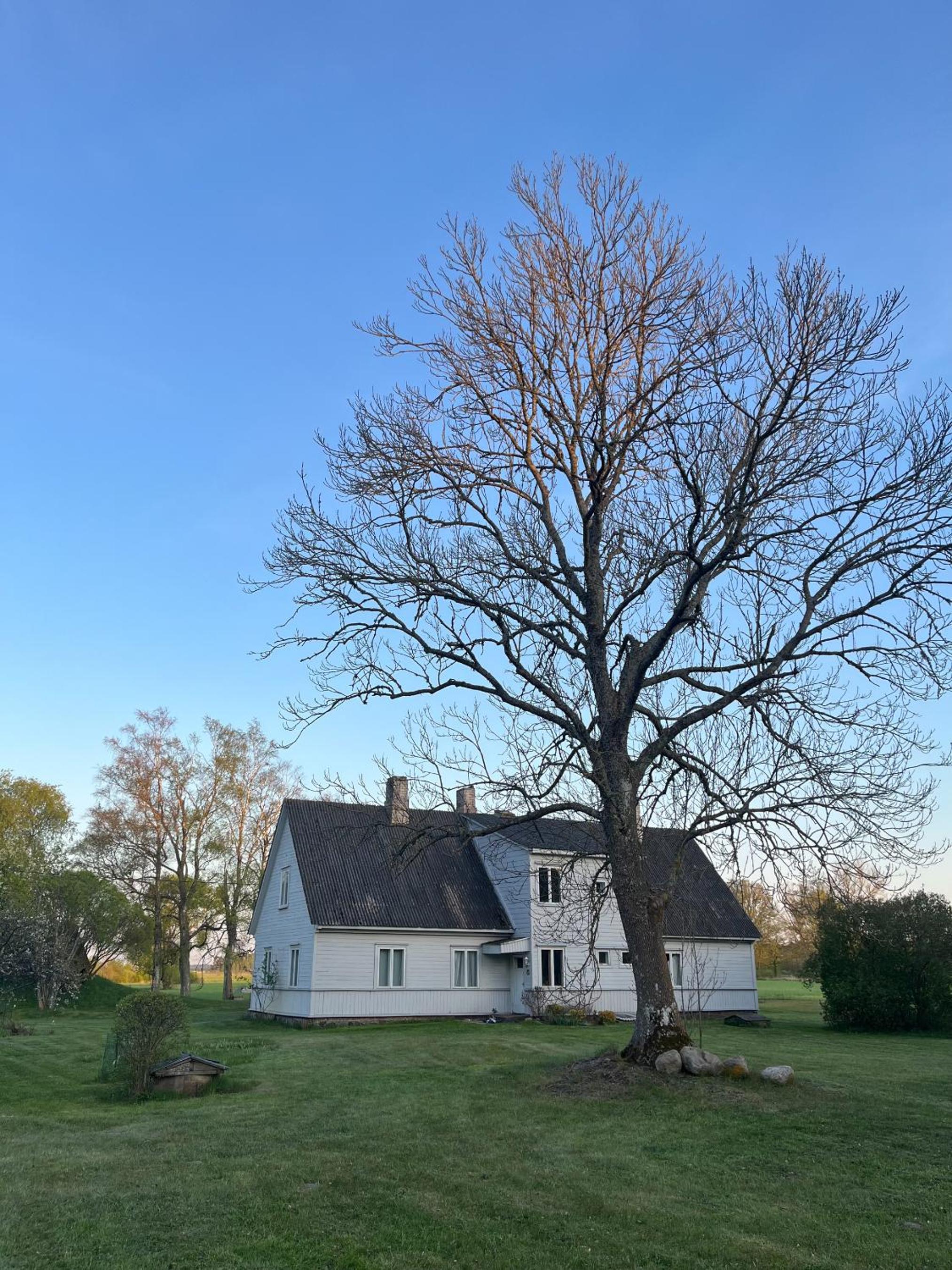 Katrina Summer House