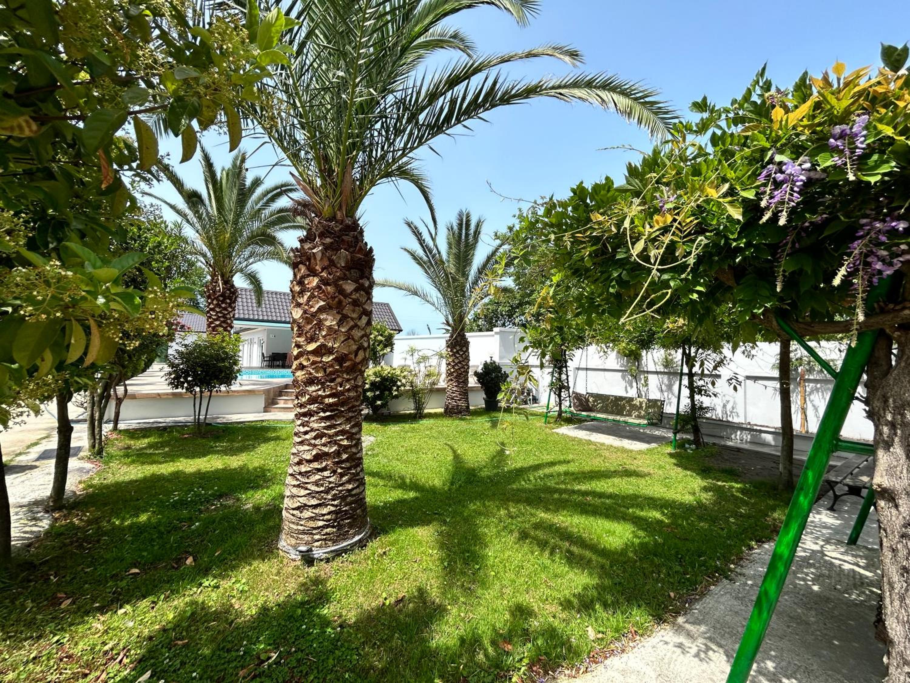 White villas in Batumi view 5