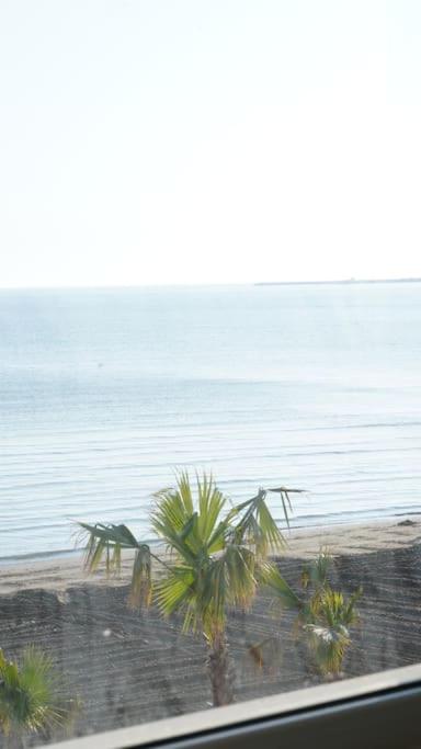 The Beachfront Apartment