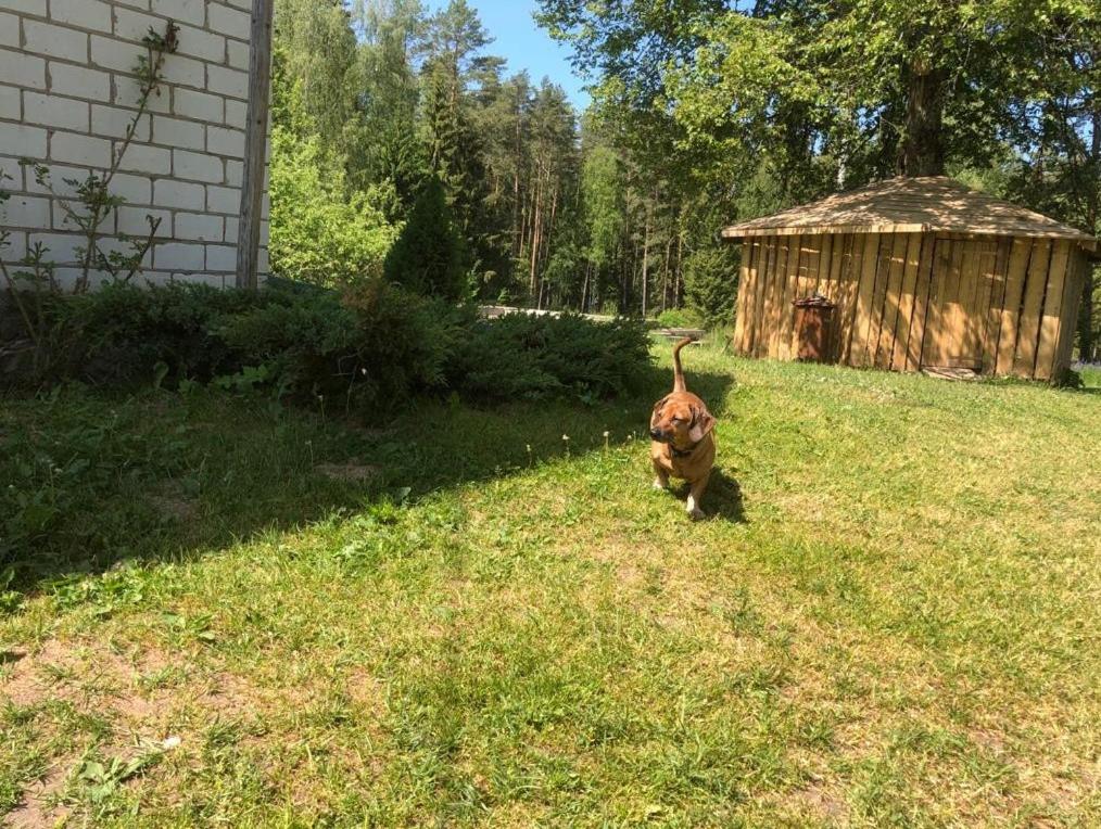 Sprīdīši