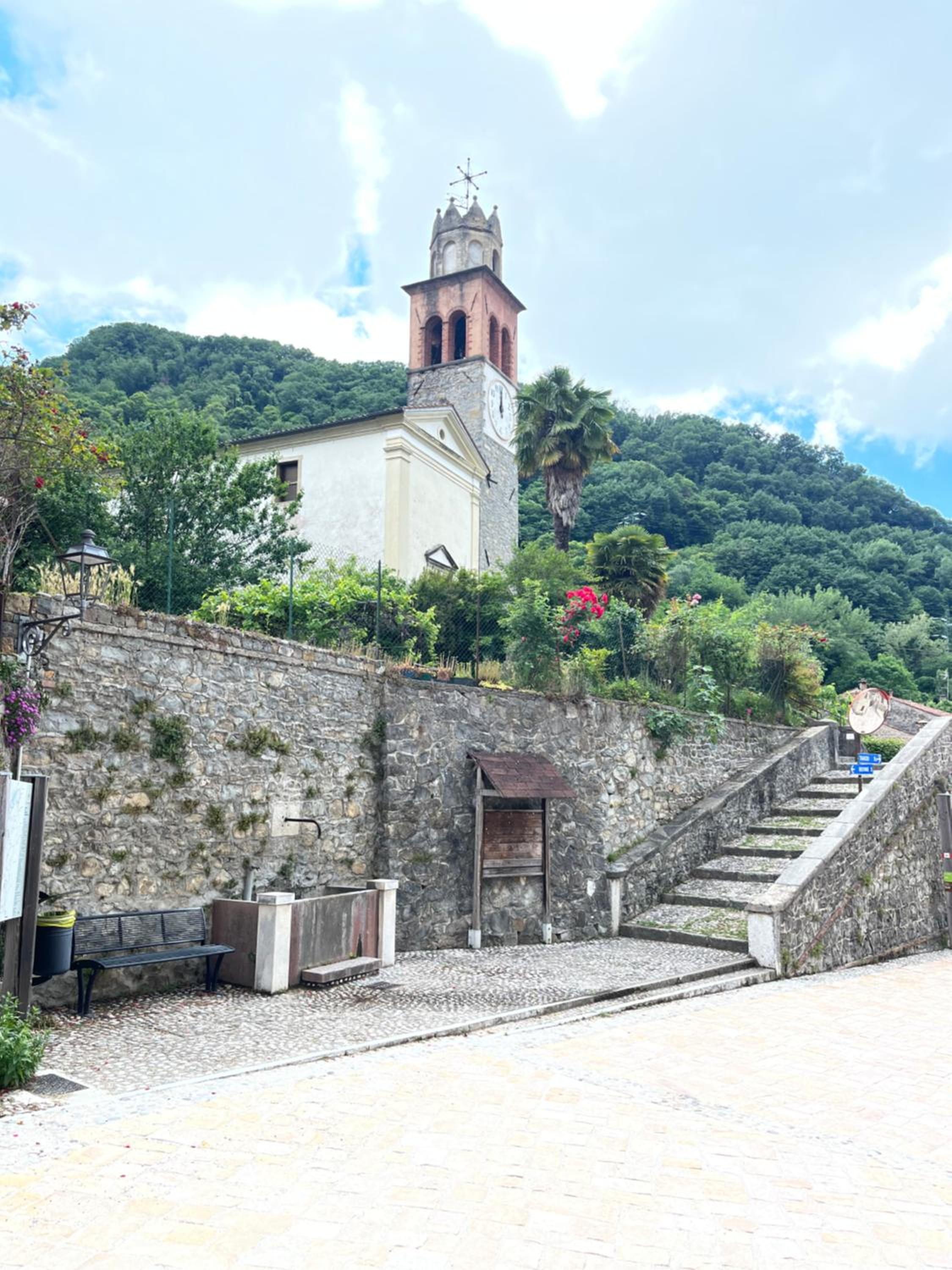 ALTRAVISTA TARZO