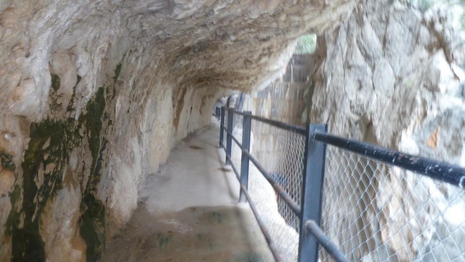 ROMI ORBA