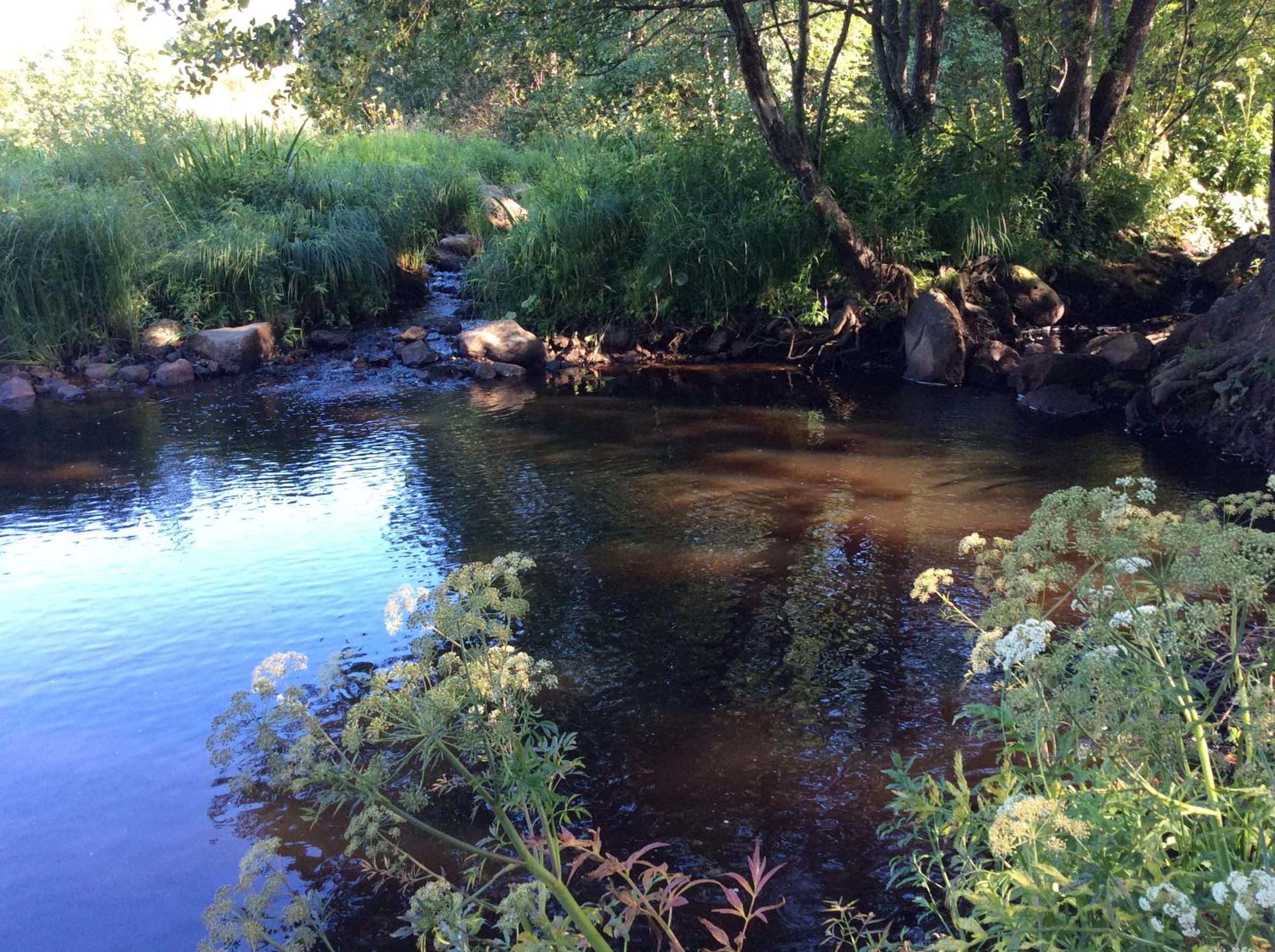 Photo 29