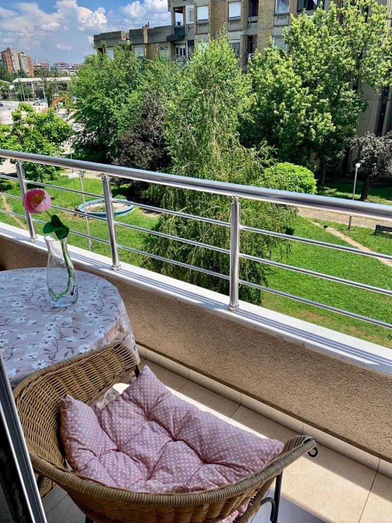 Antina's home view 4