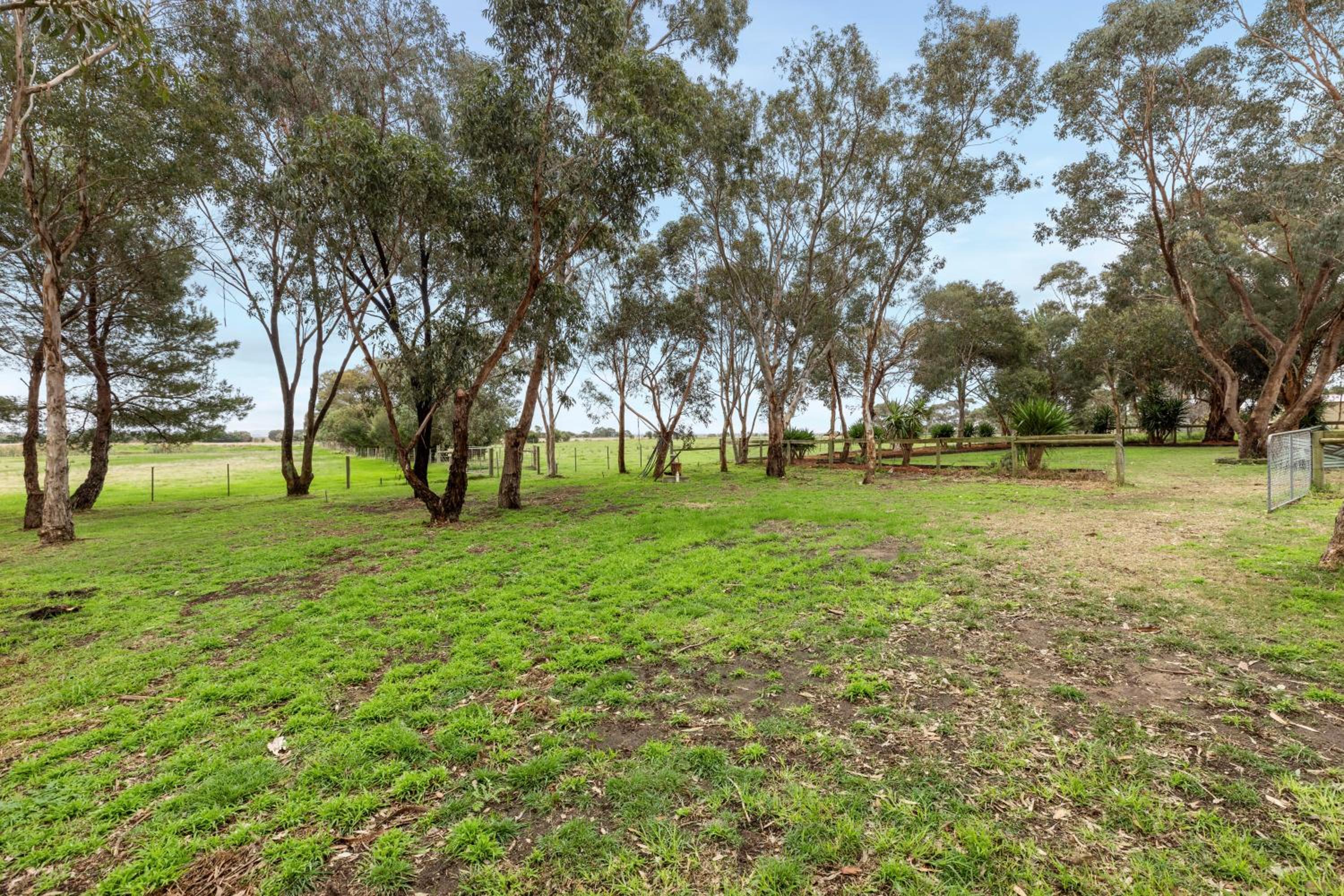 Escape farmhouse with cow birds lakes-SP group