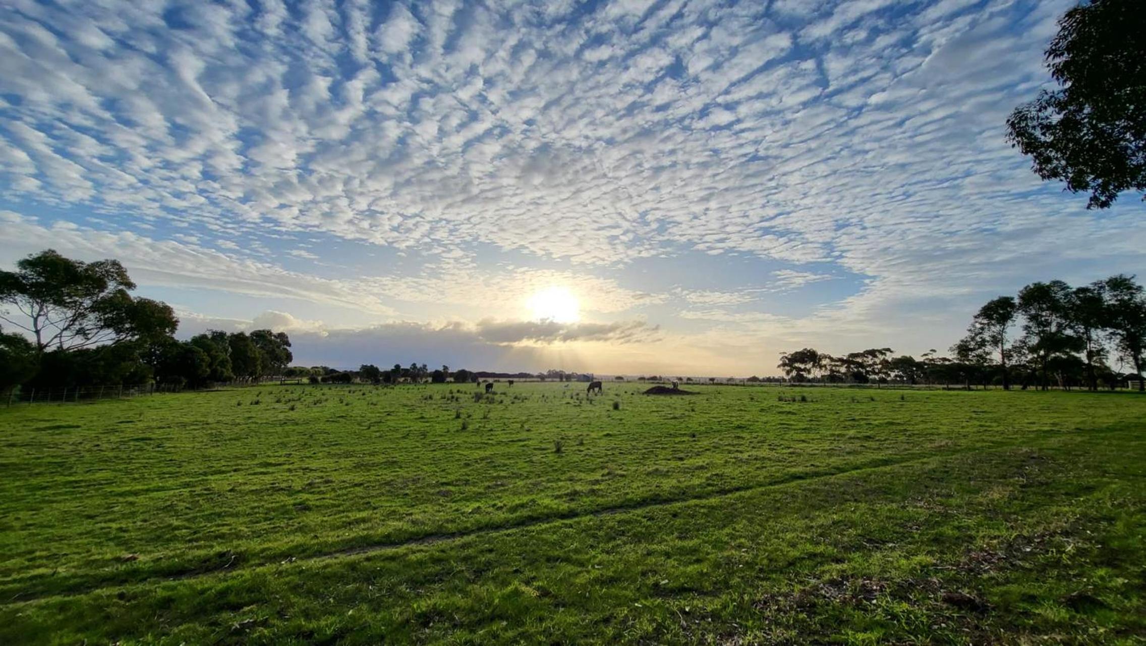 Escape farmhouse with cow birds lakes-SP group