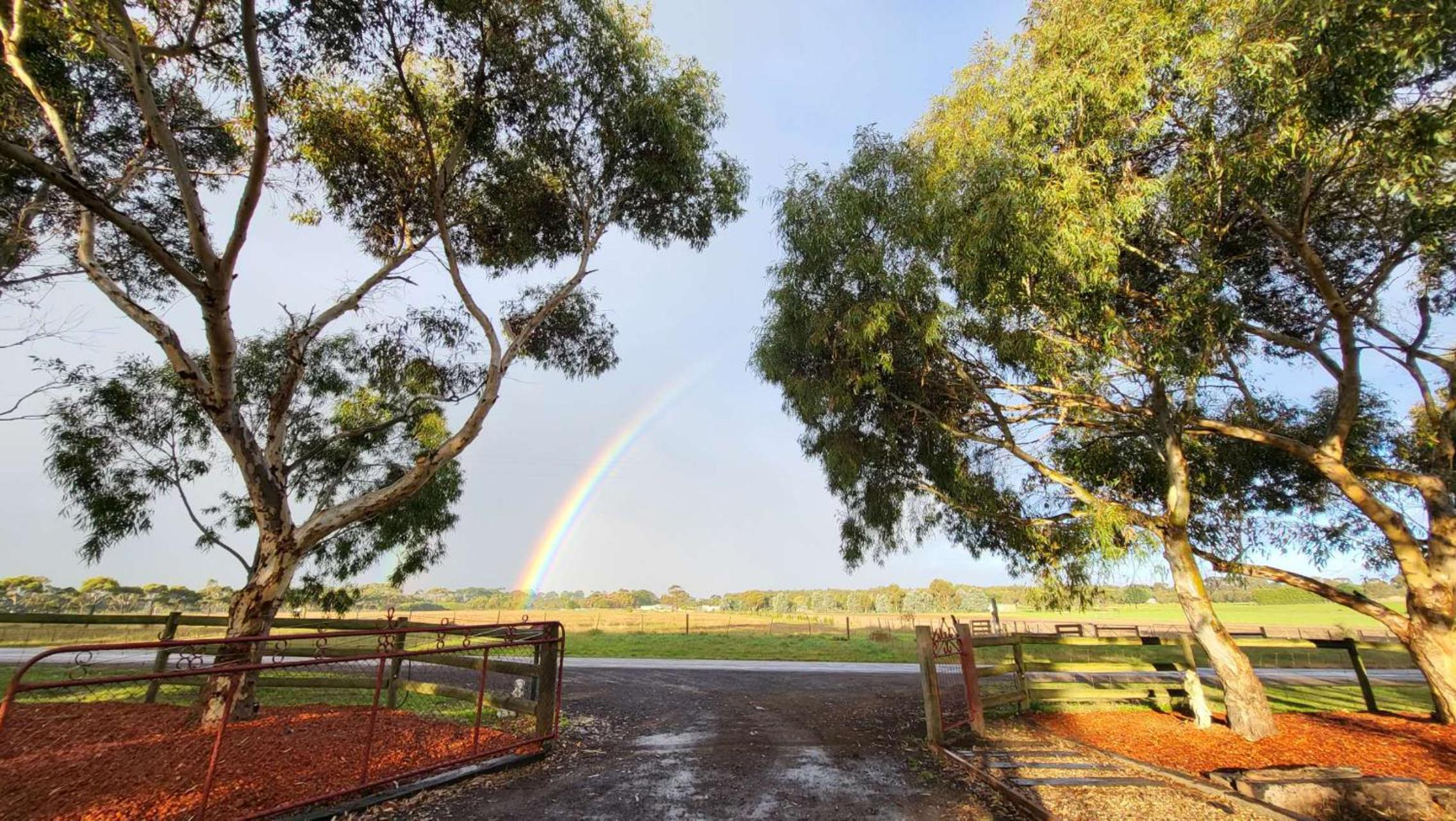 Escape farmhouse with cow birds lakes-SP group