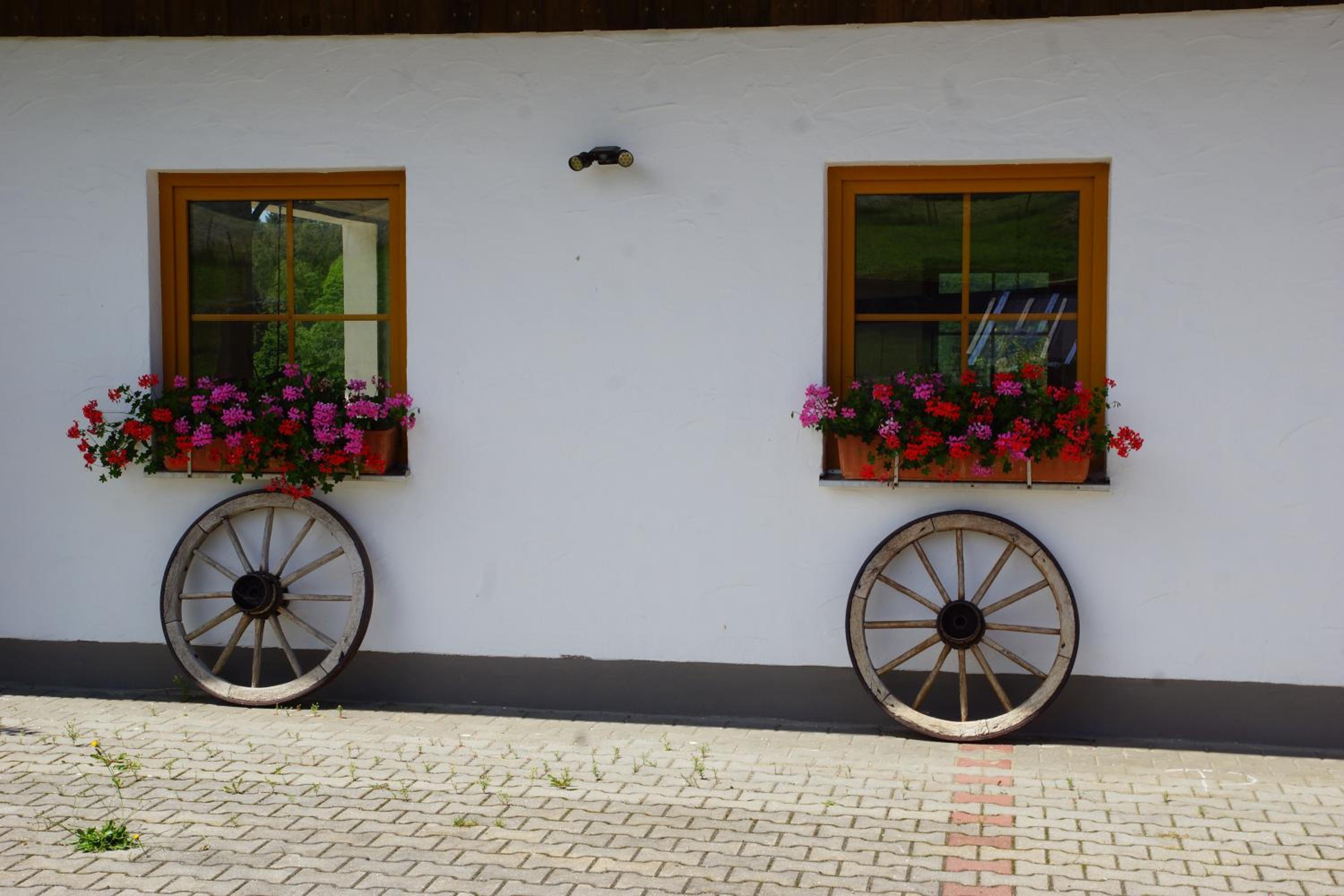 Ferienwohnungen Paukner