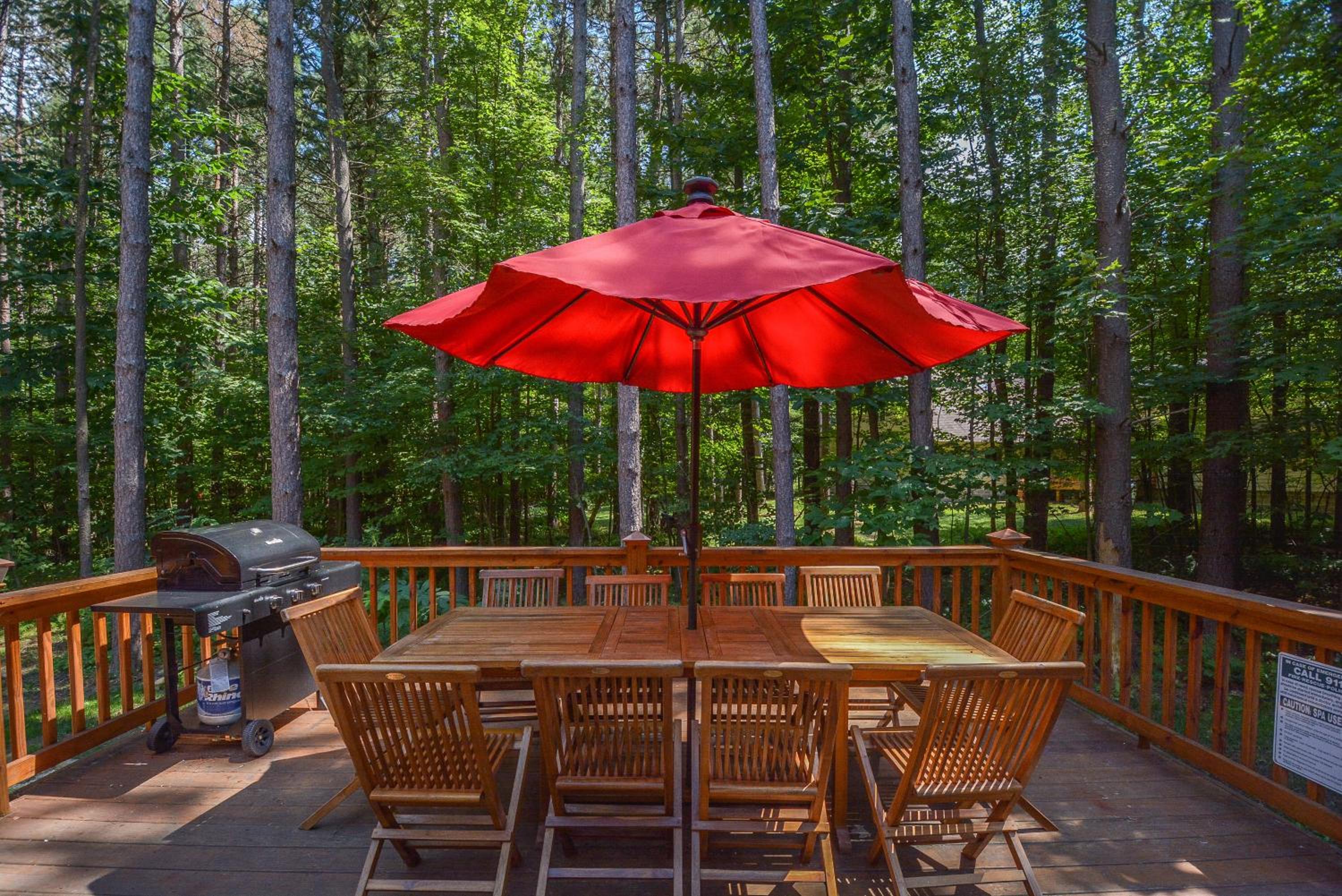 Knotty Pines view 4