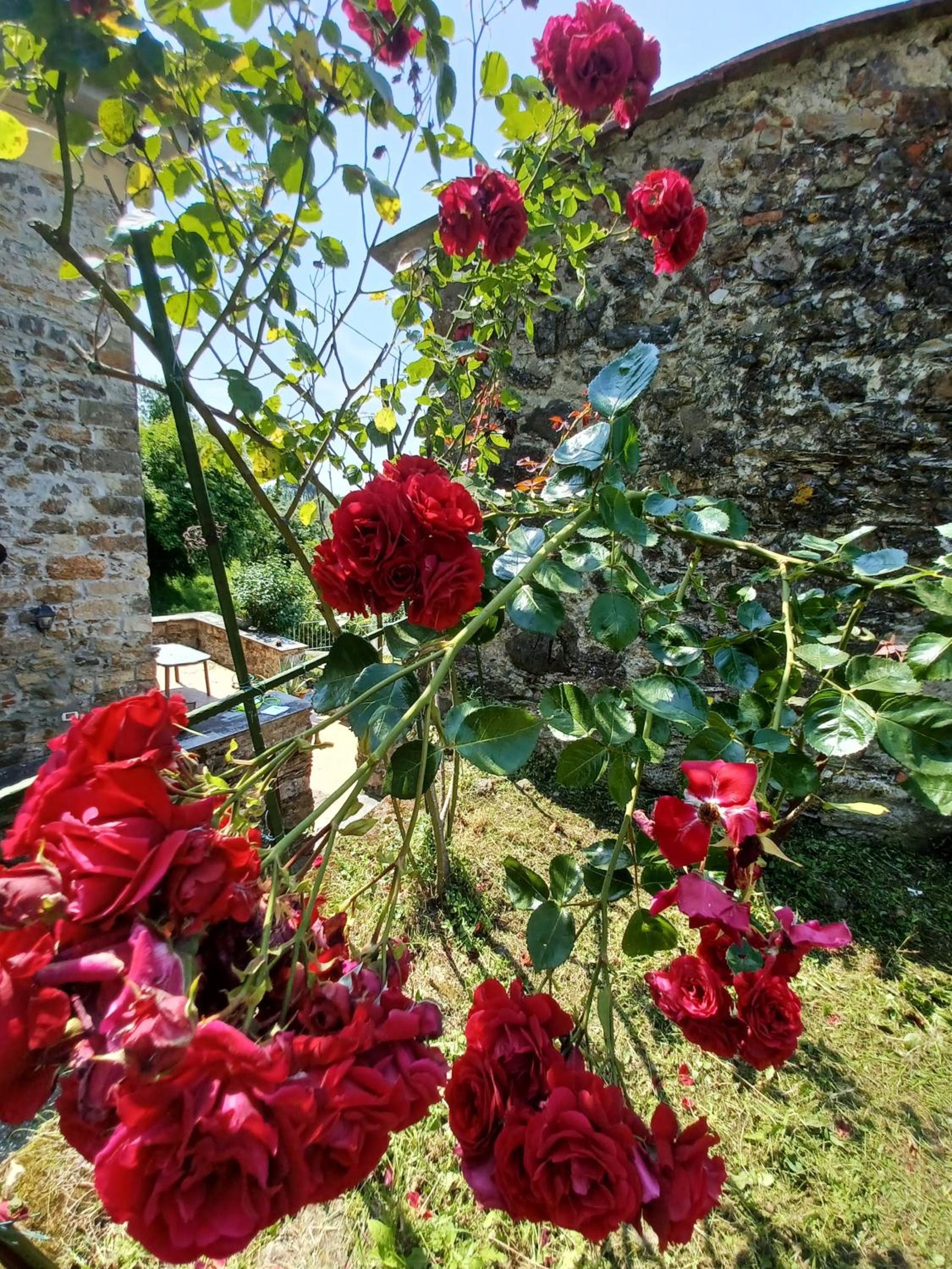Il Fontolo