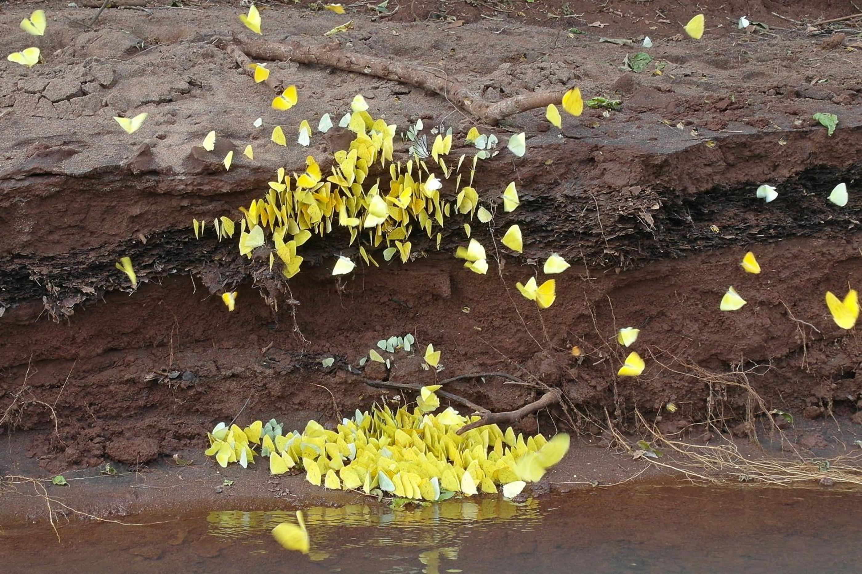 Chacra del Agua Reserva Privada