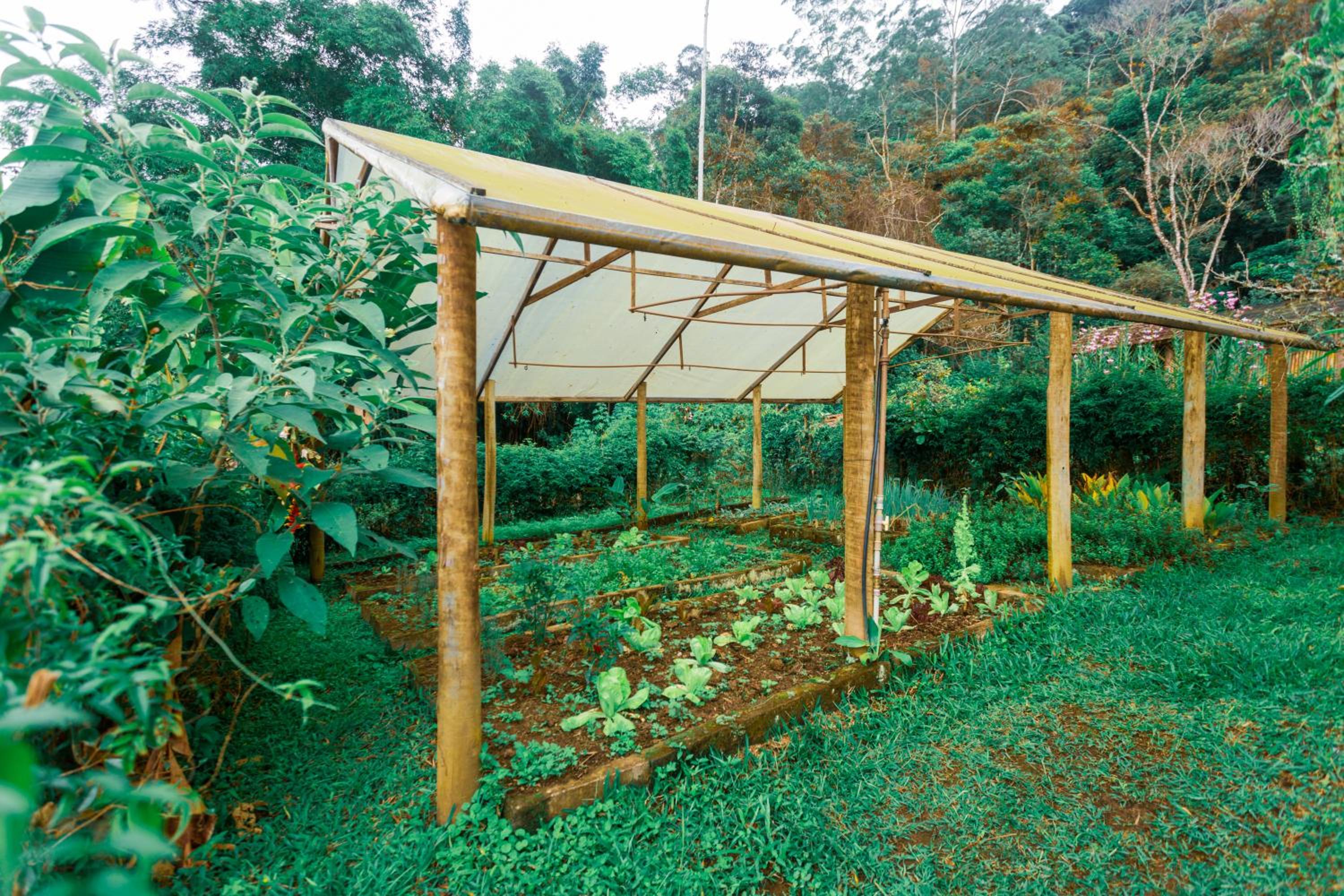 Sítio Sanandu - Conforto no Paraíso Ecológico de Macaé de Cima