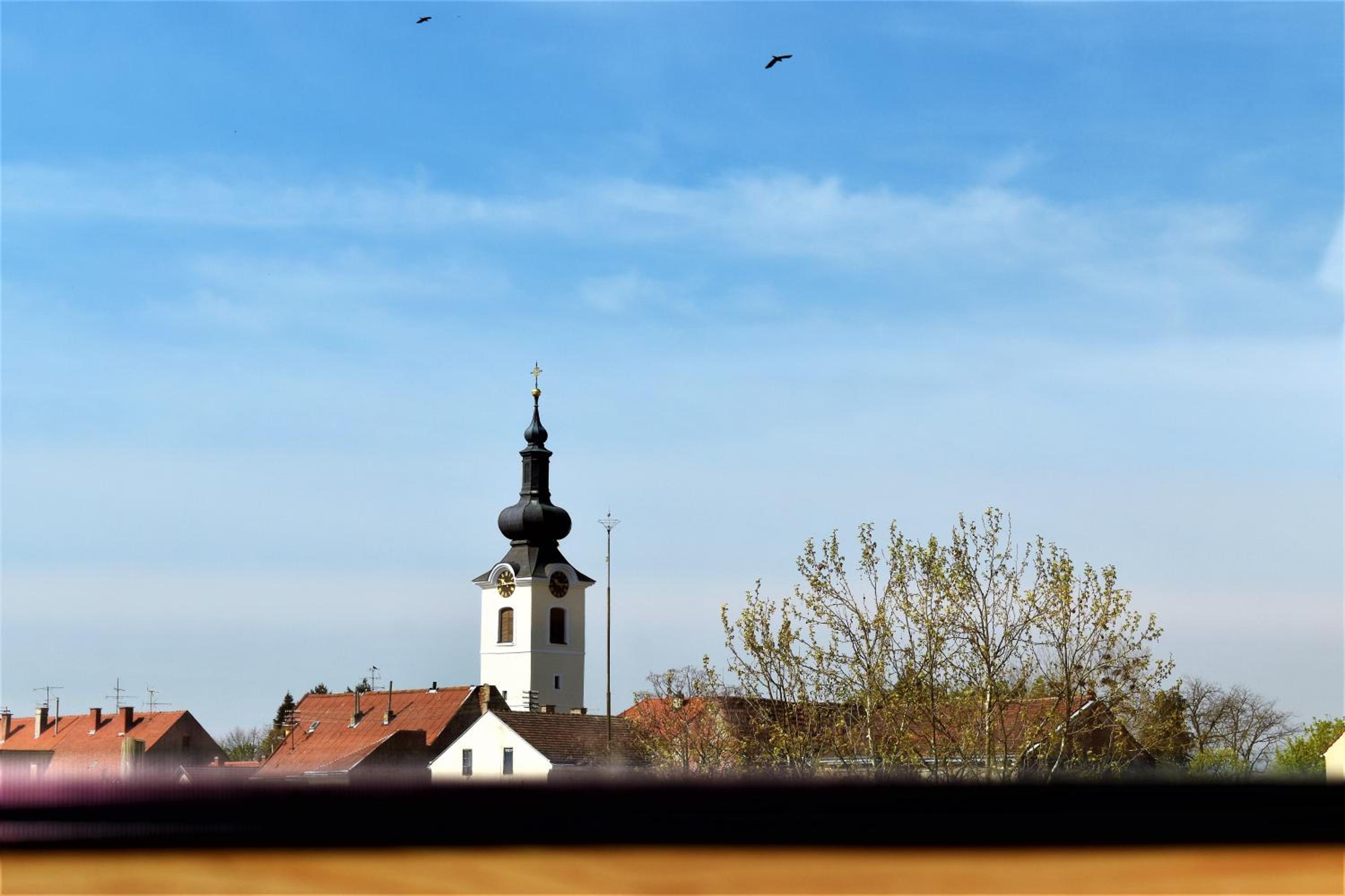 Photo 22