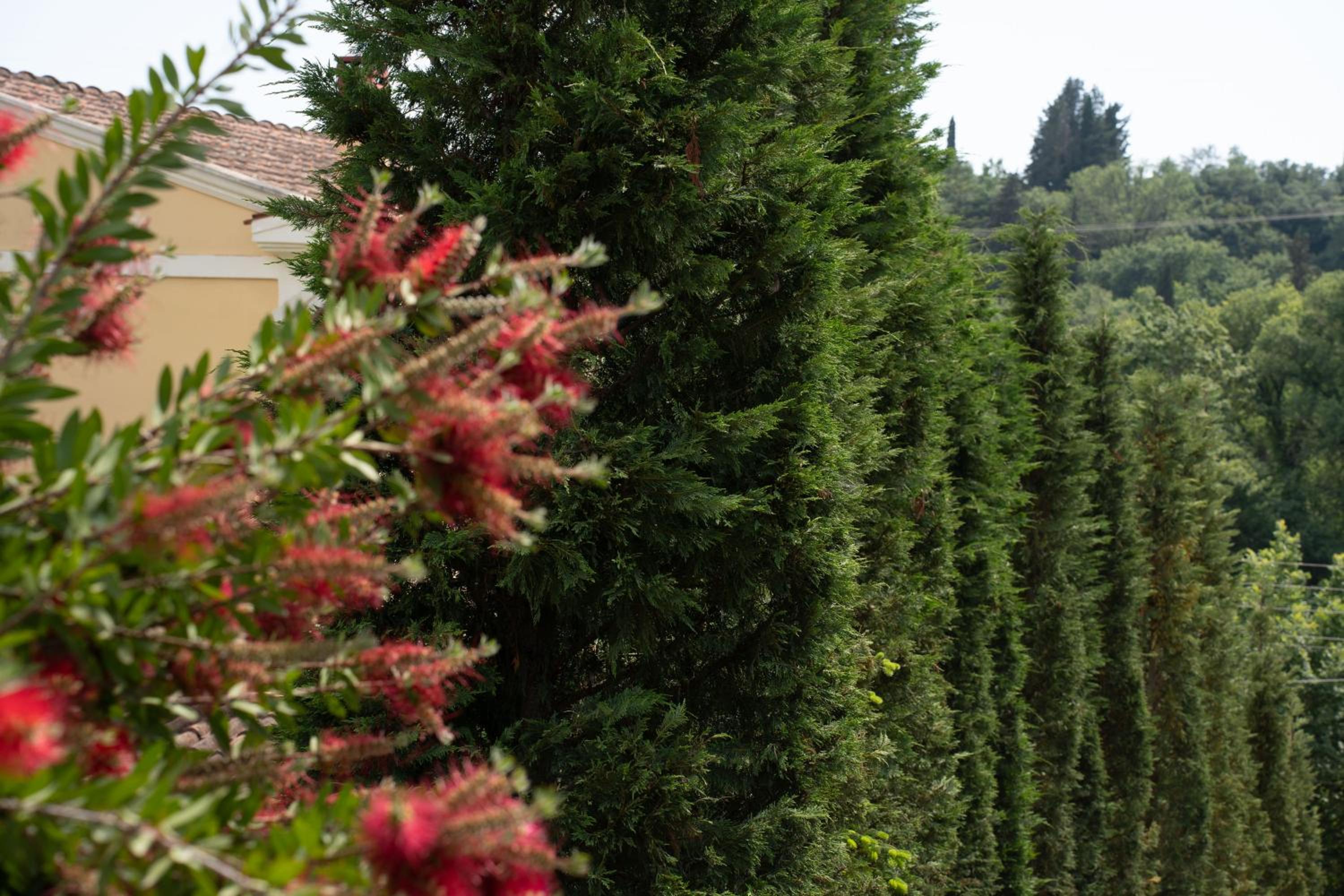 La Bella Vita - Luxury Holiday House close to Corfu Town view 4