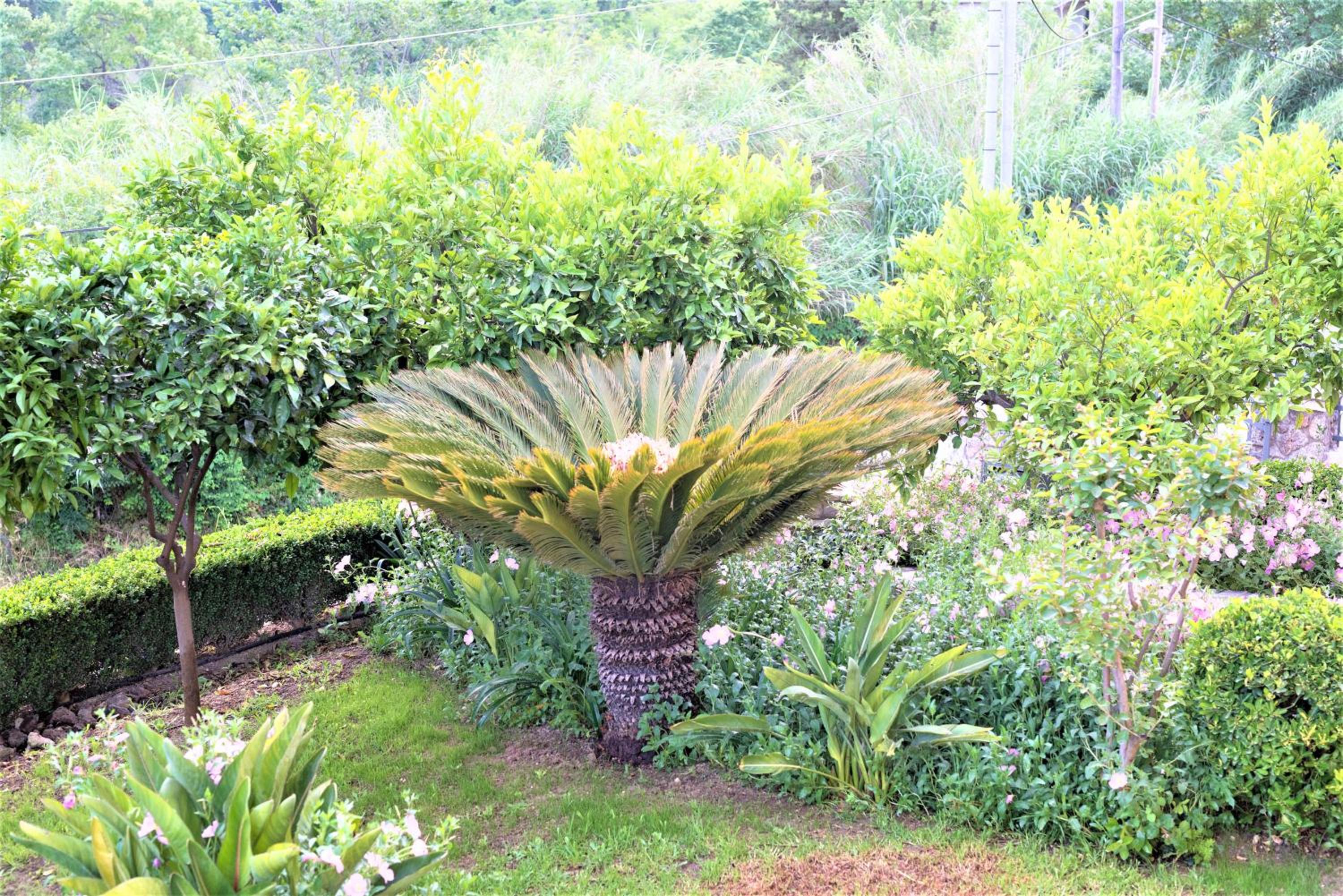 La Bella Vita - Luxury Holiday House close to Corfu Town view 5