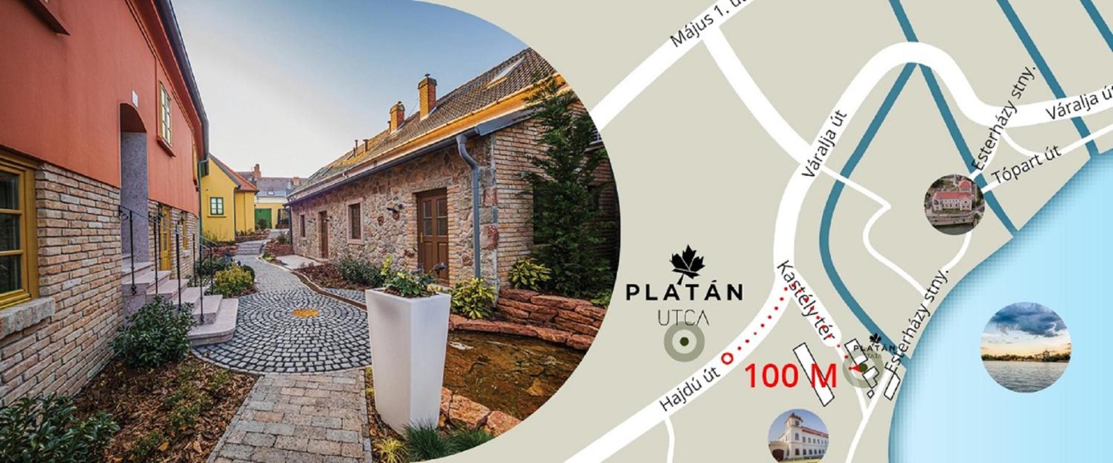 Platan Udvarhaz view 4
