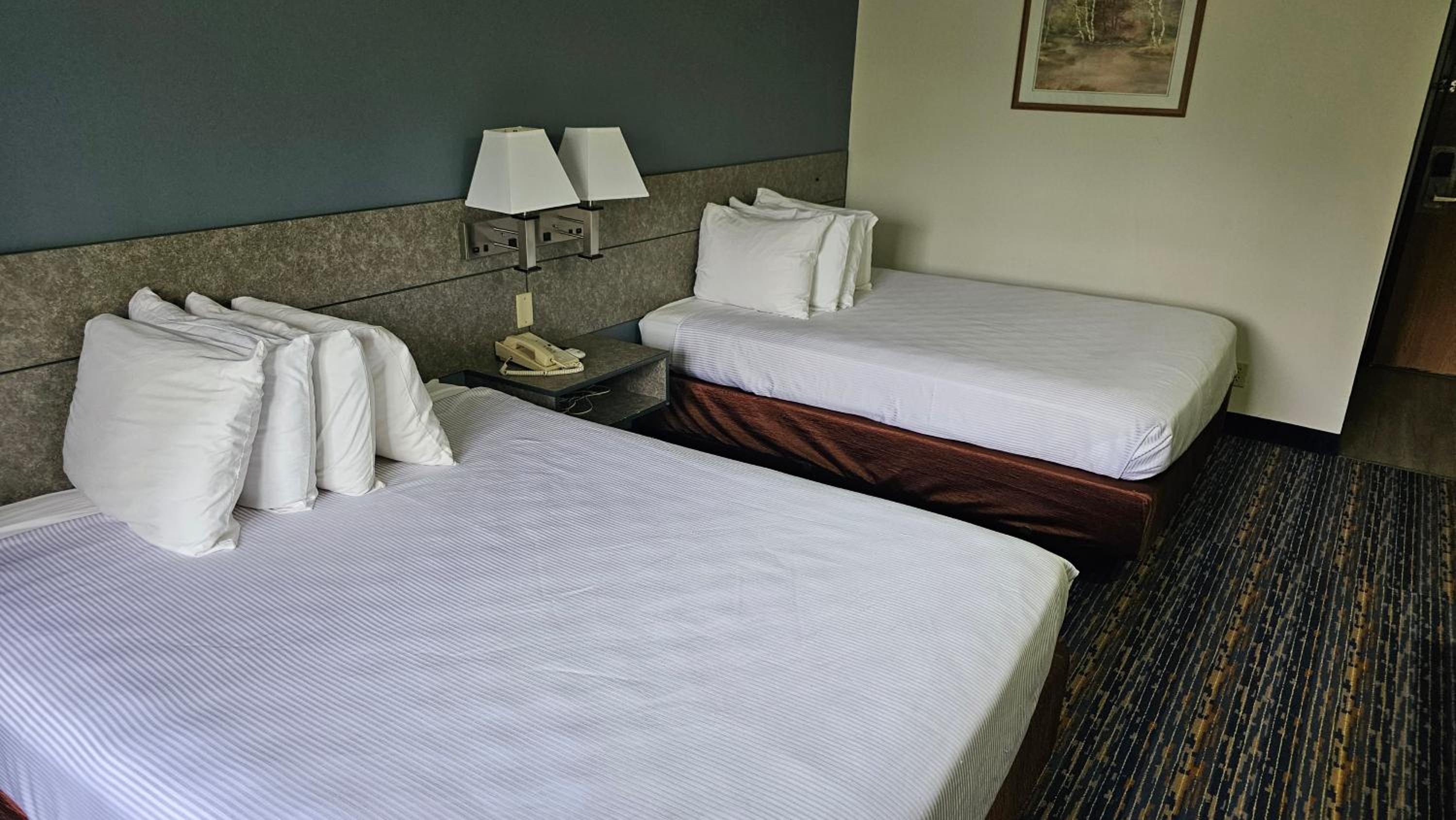 MJ INN and SUITES, 사진 15