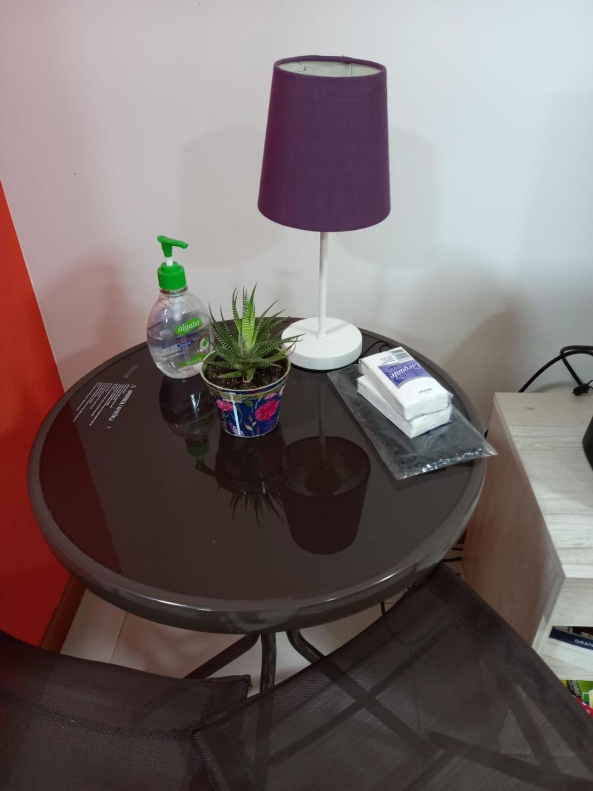 Departamento en Recoleta excelente