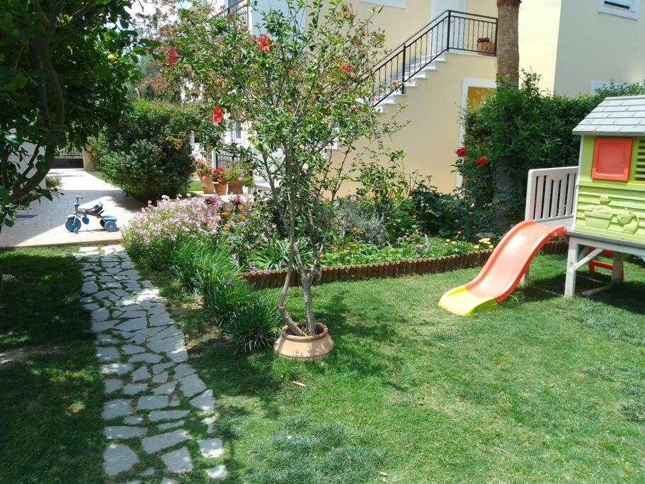 Photo 35