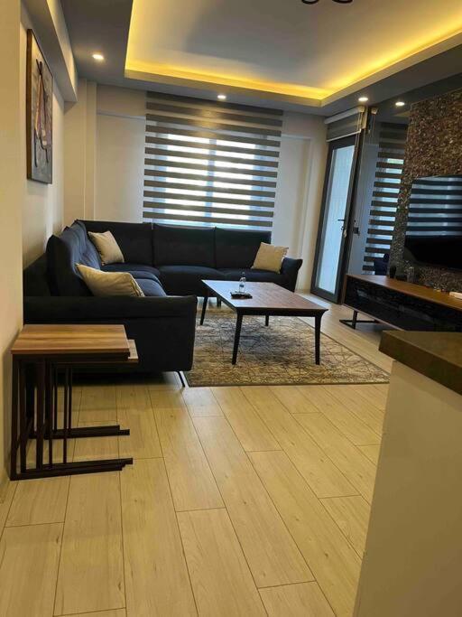 Alpha center apartment view 3