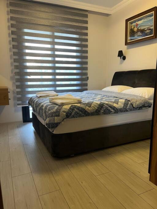 Alpha center apartment view 4
