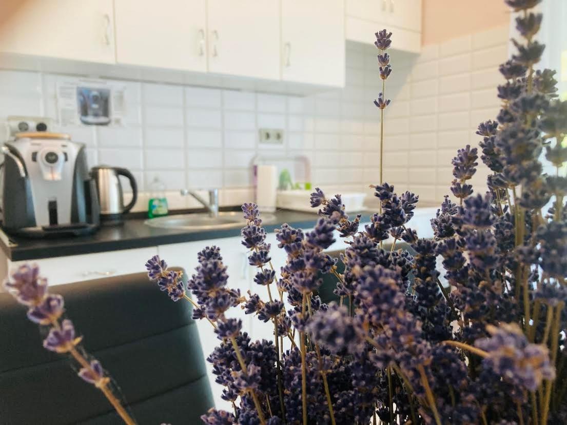 Tóparti Apartmanház