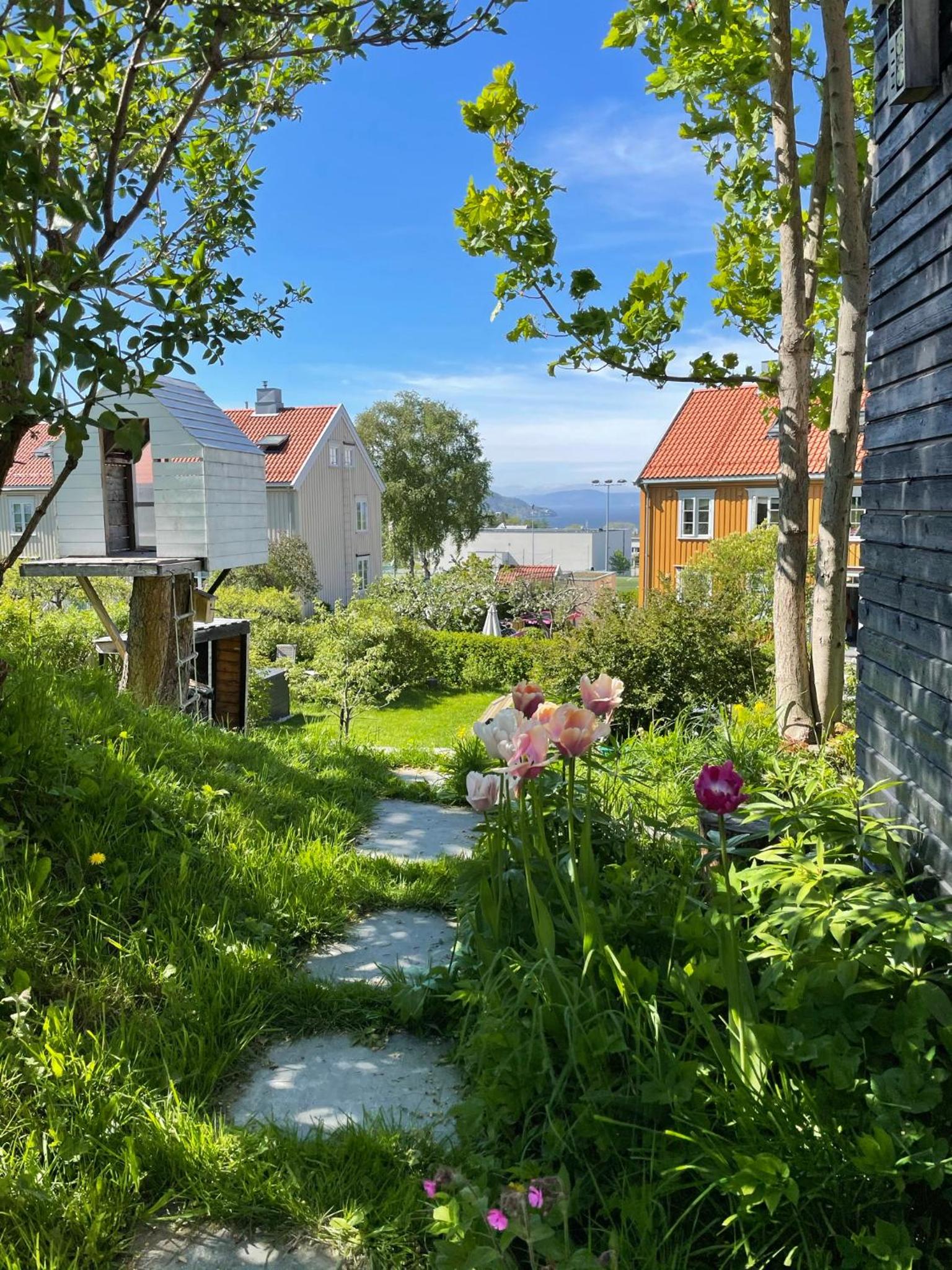 Tomannsbolig på Rosenborg view 2