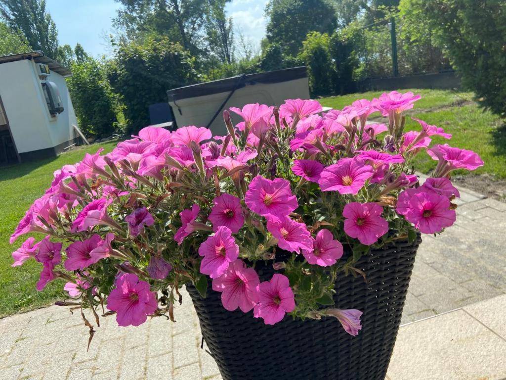 Tóparti Apartmanház