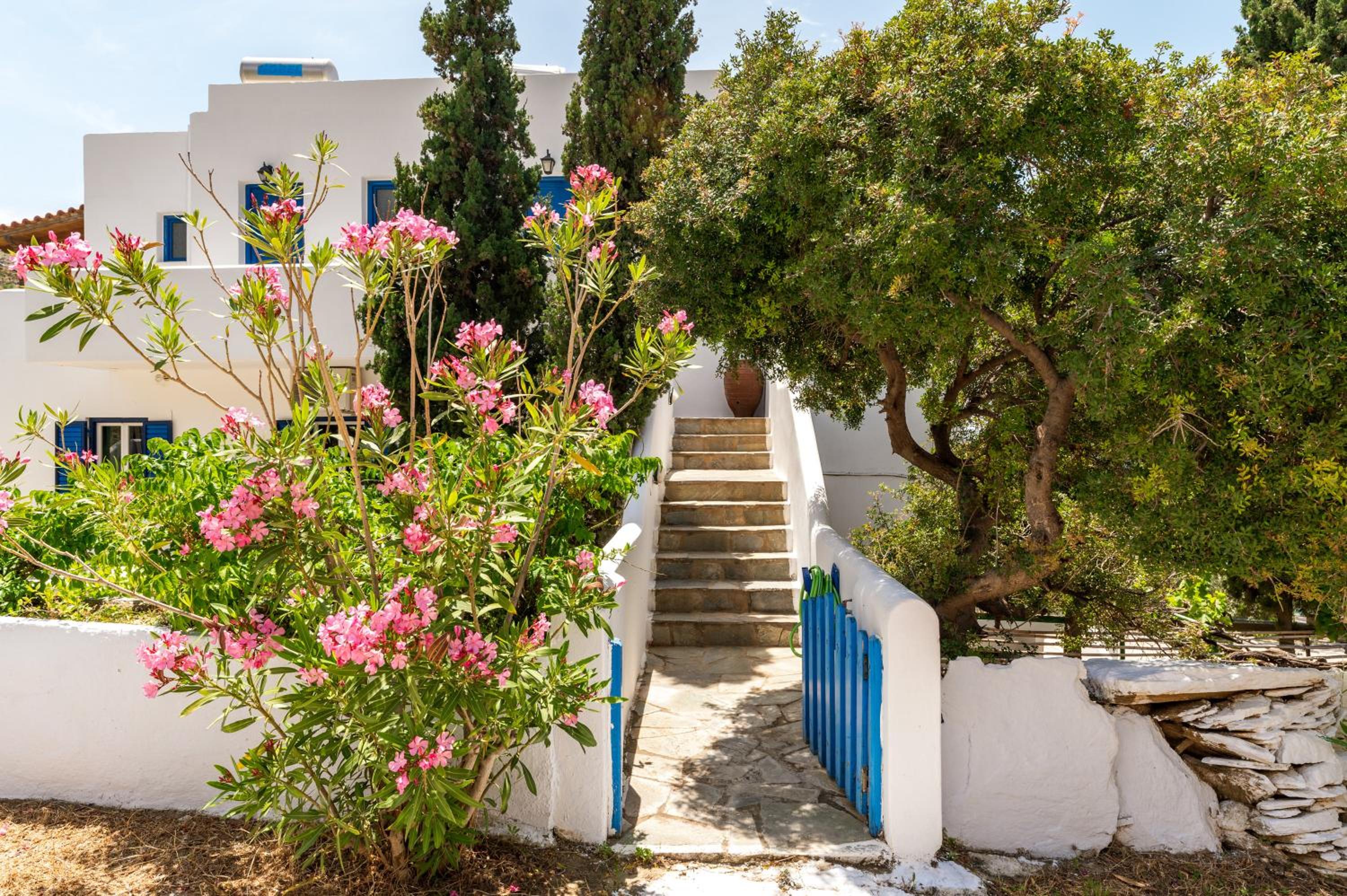 Agia Marina Apartments 7 Andros photo 4