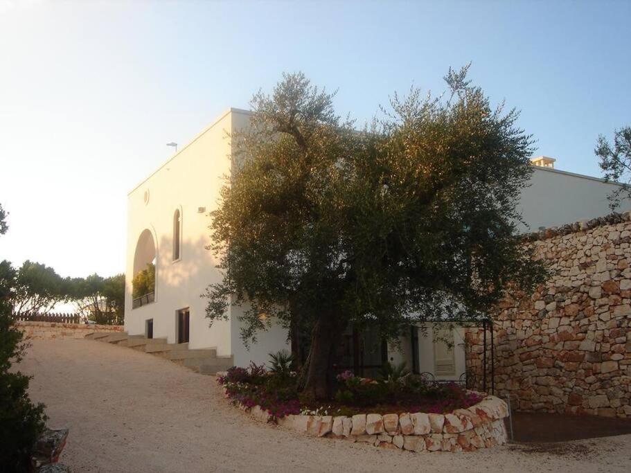 Tenuta Sicilia