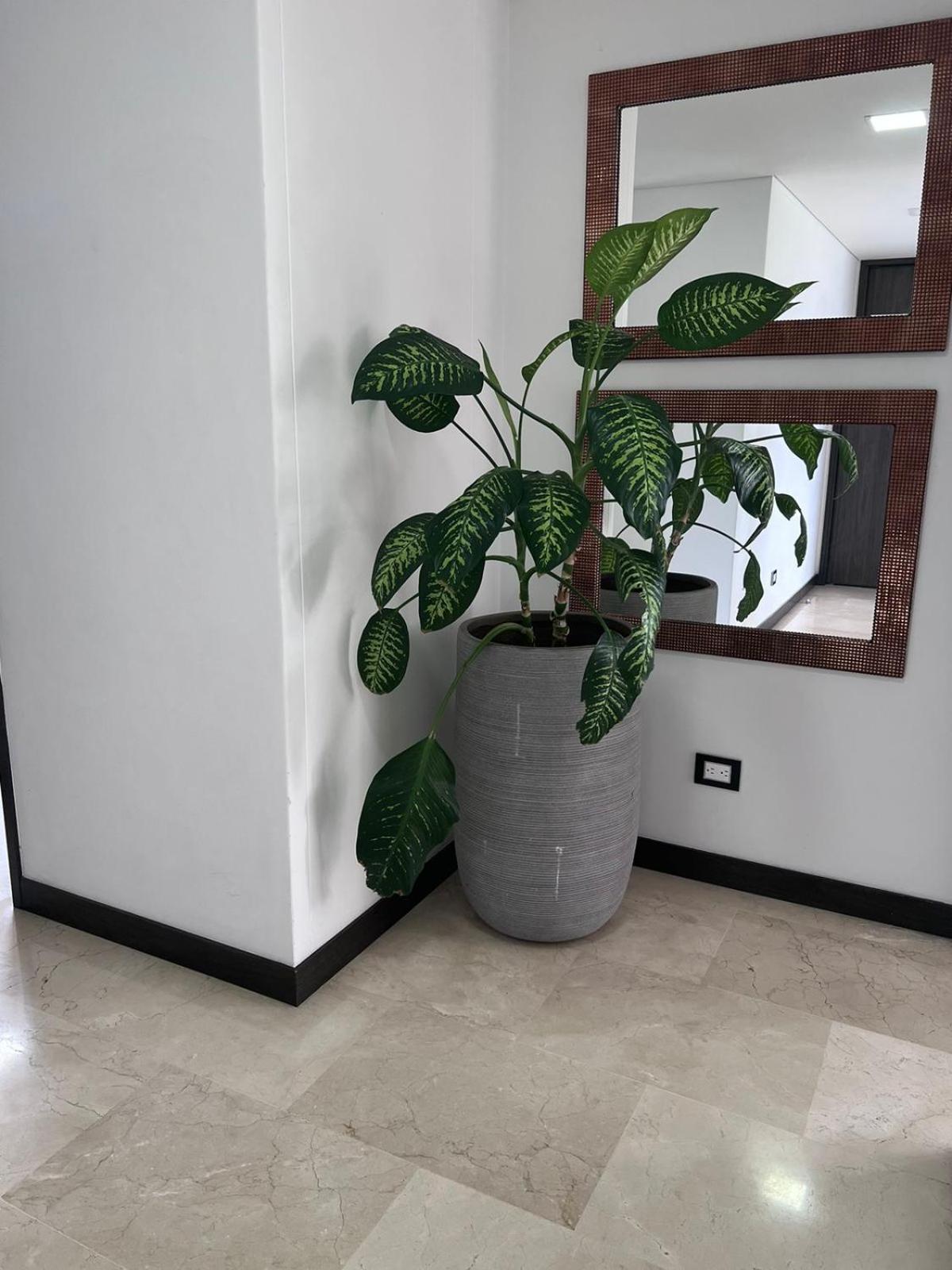 Spacious Apartments with High views from Poblado