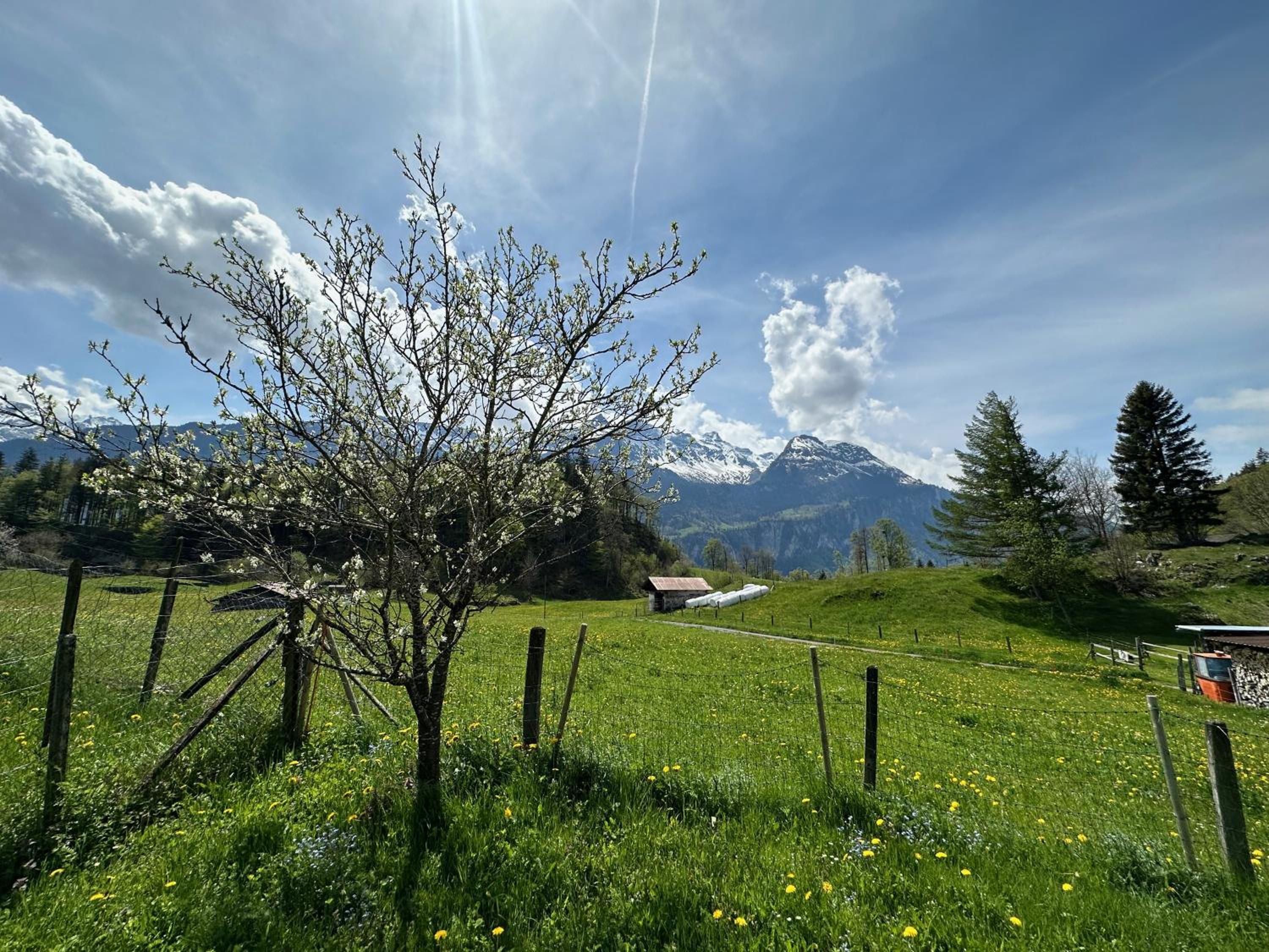 Photo 45