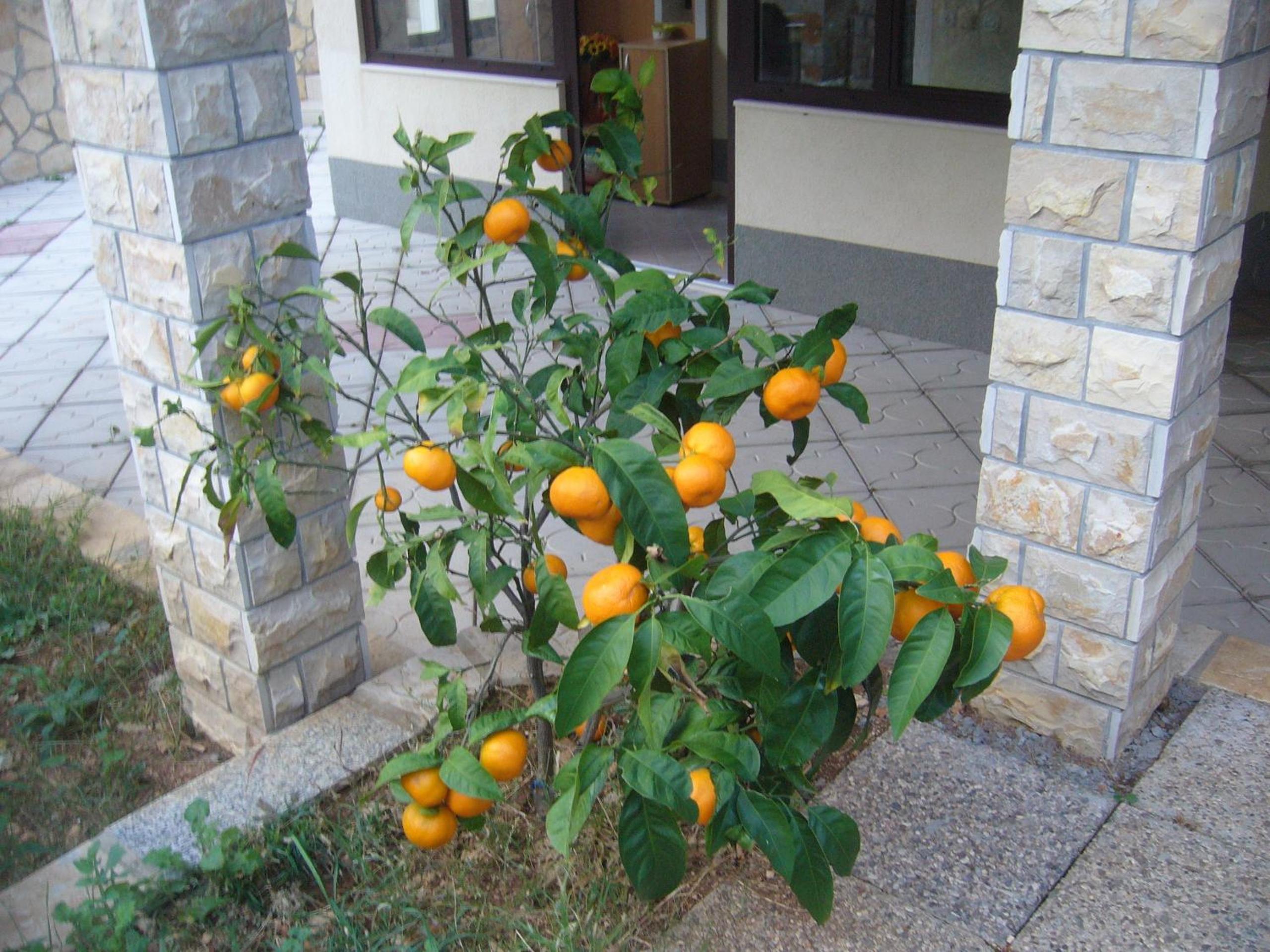 Photo 32
