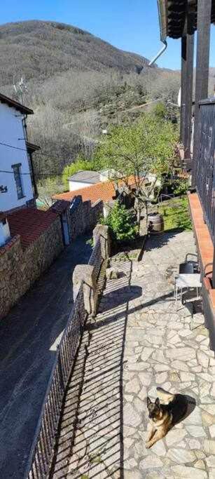 Hostal Montemayor