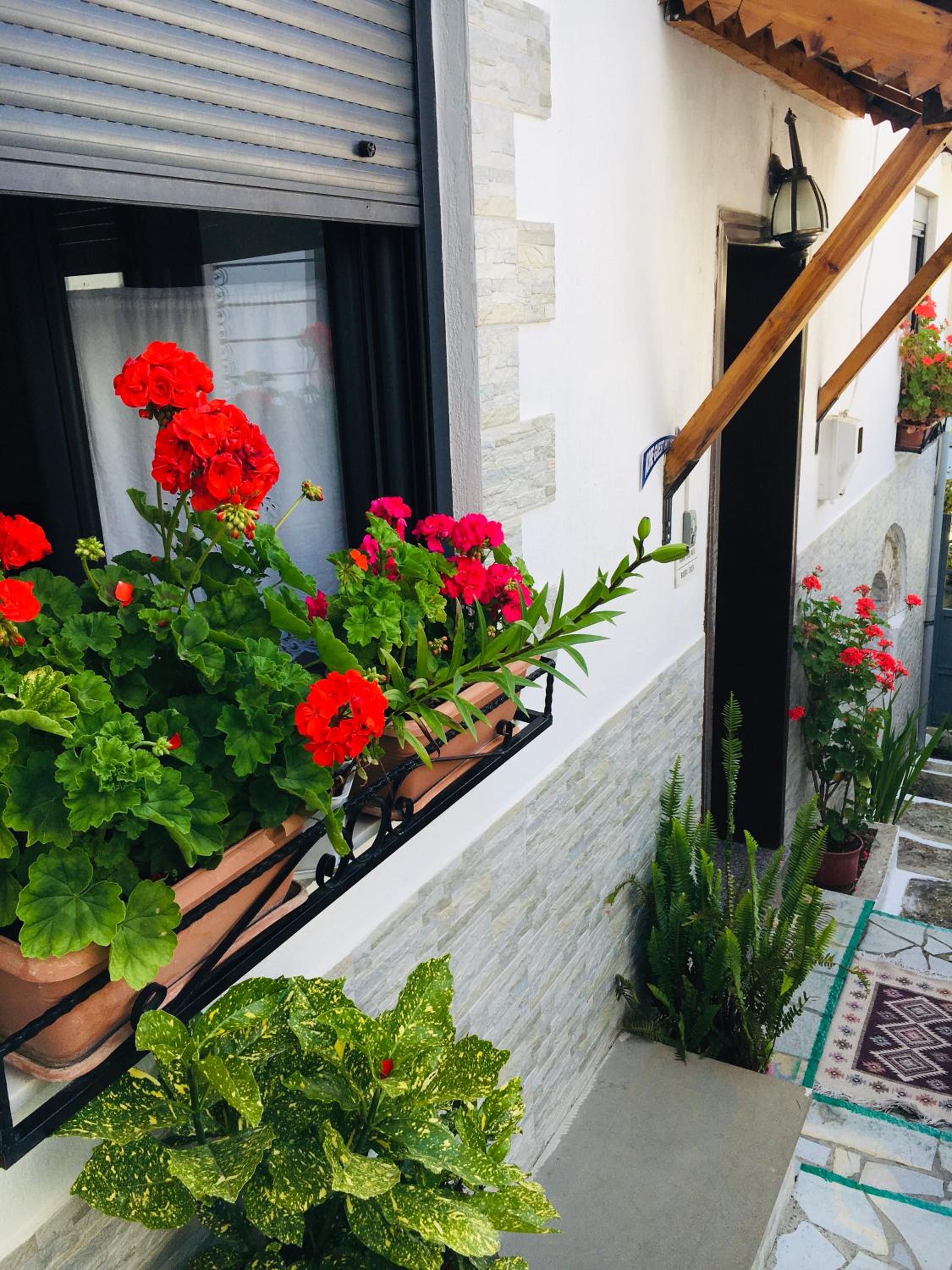 Kore Guest House