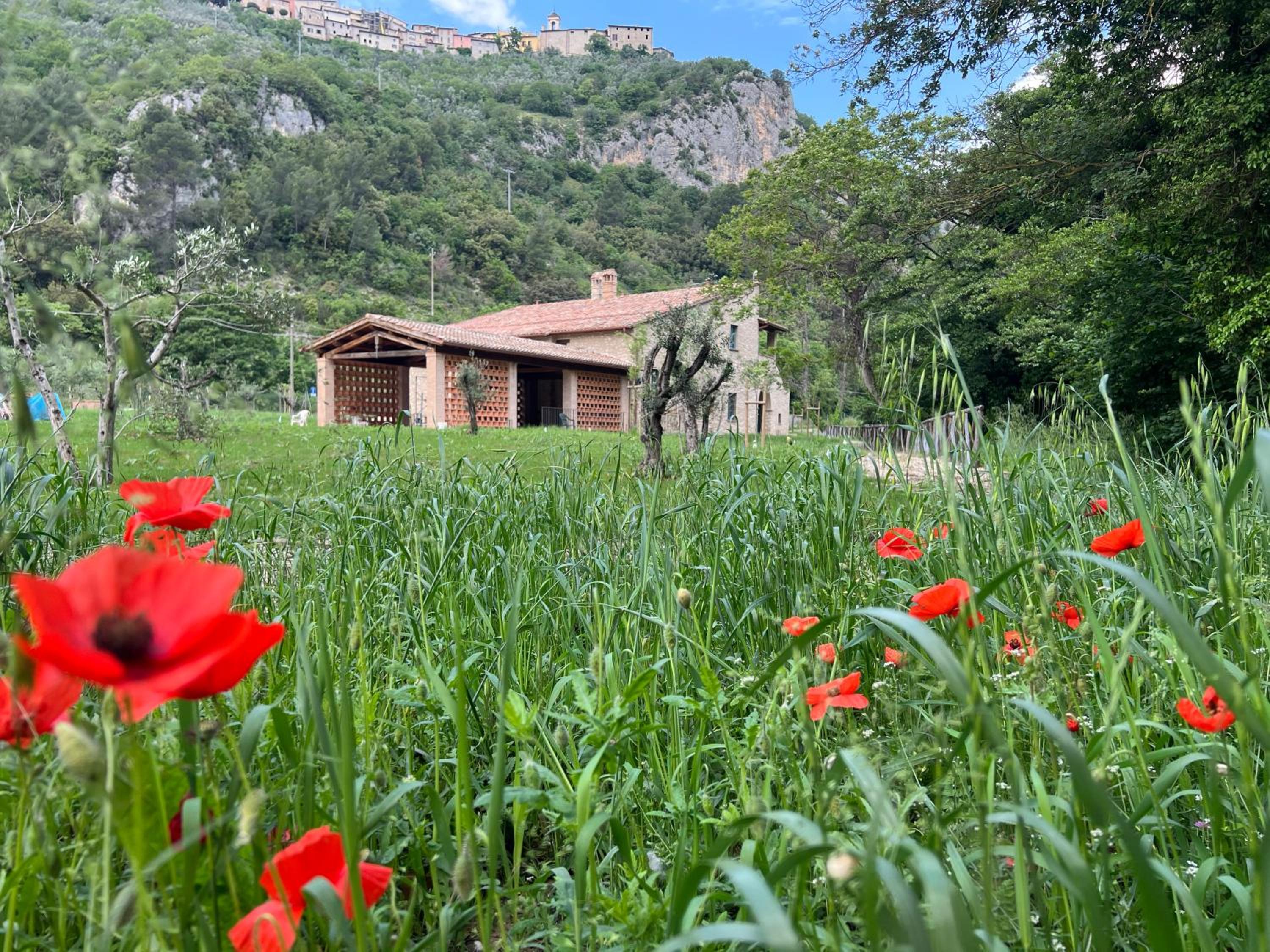 MulinoNera