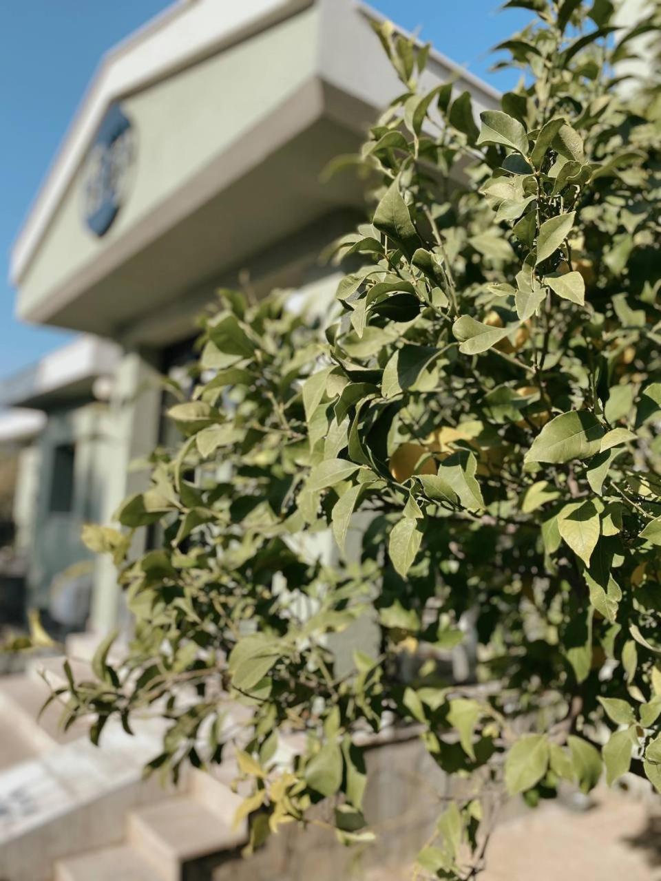Belizi Hotel
