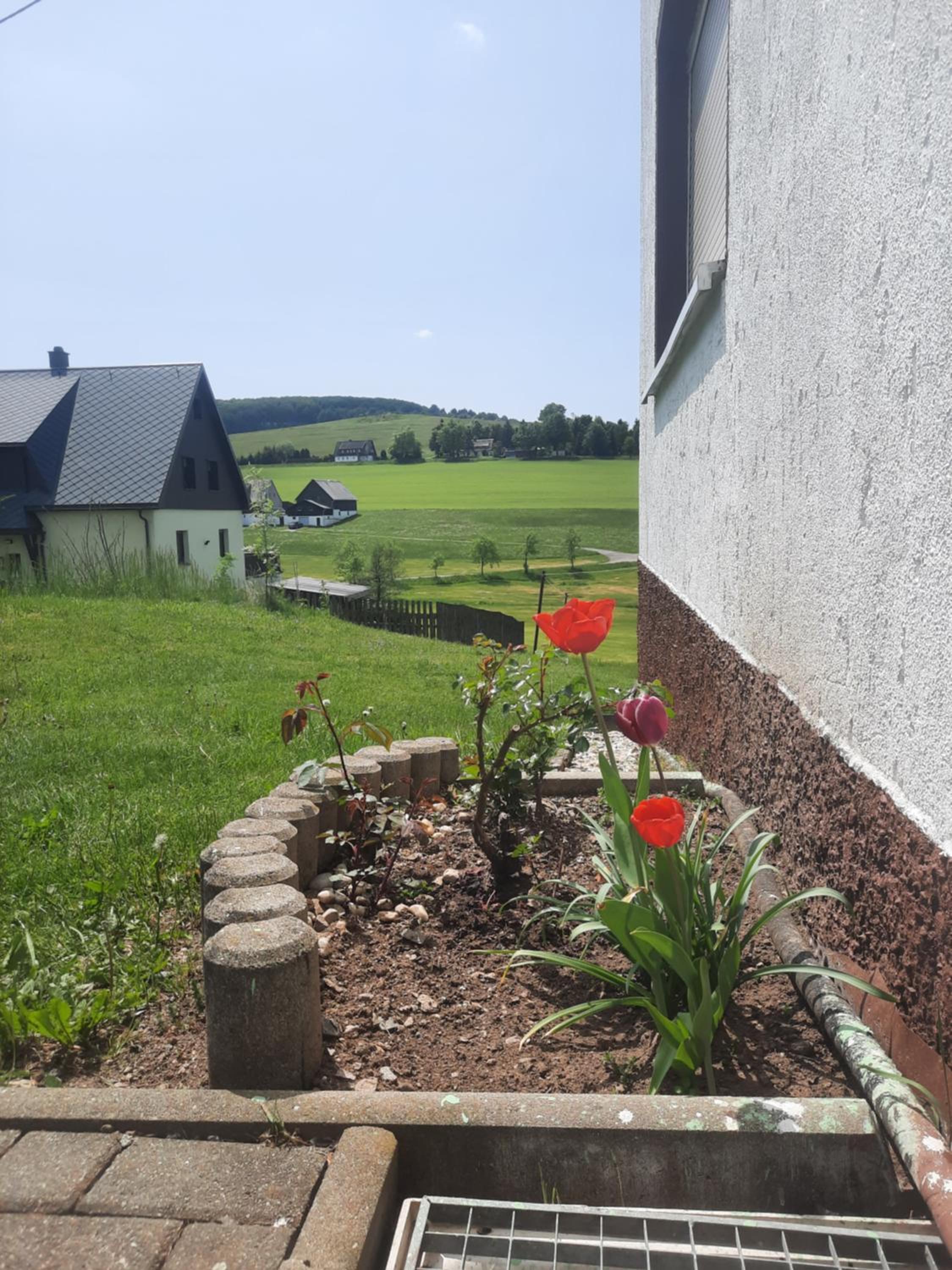 Ferienwohnung Wiesenblick in Seiffen - Property Image 6