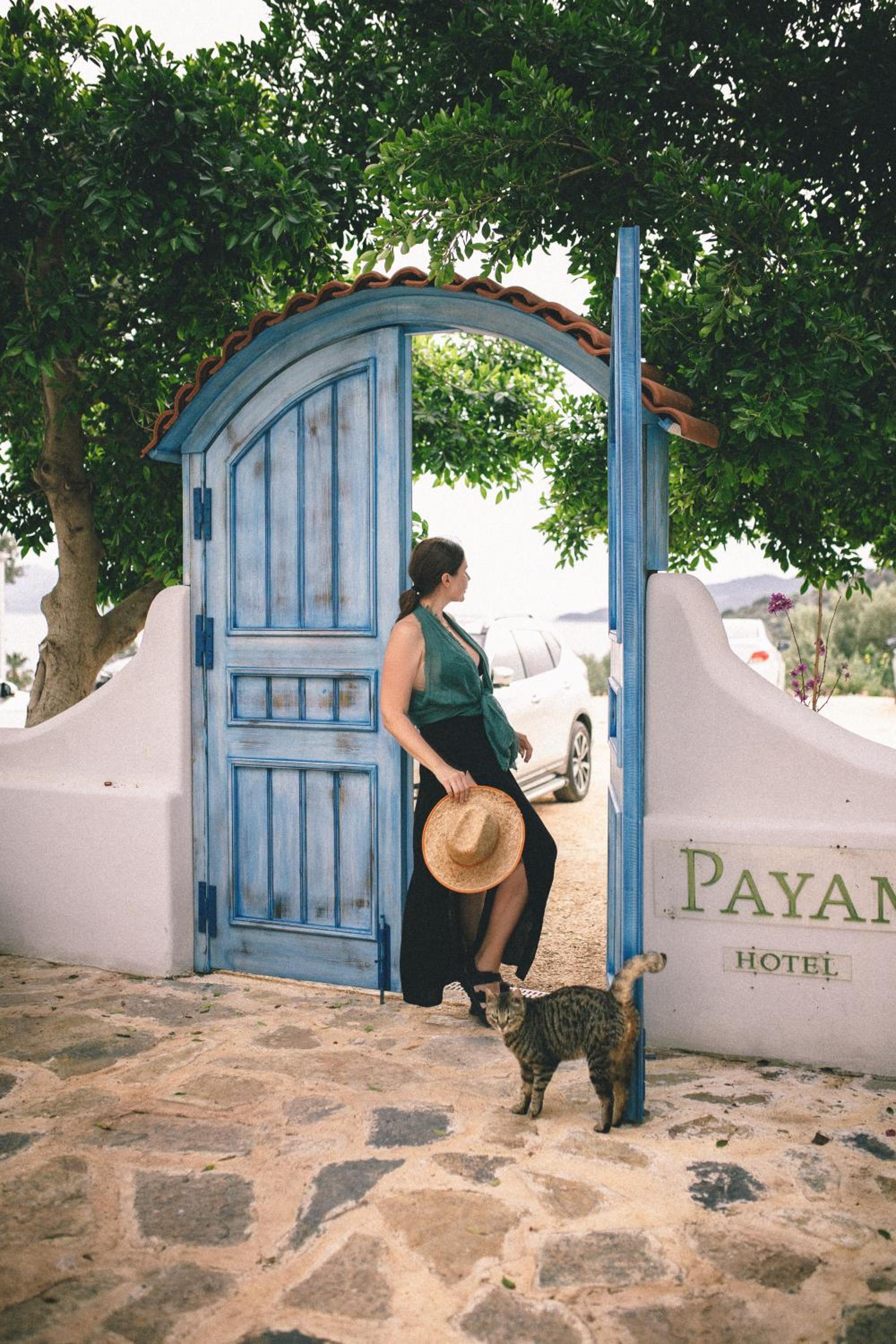 Payam Hotel - Image 124