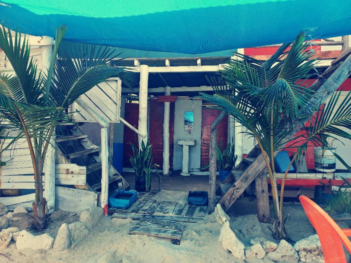 Playa Tortuga Carey