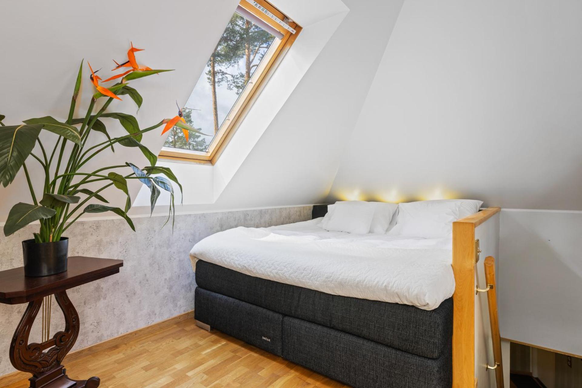 Villa Muusa with a cozy sauna, swimming pool and large beautiful garden