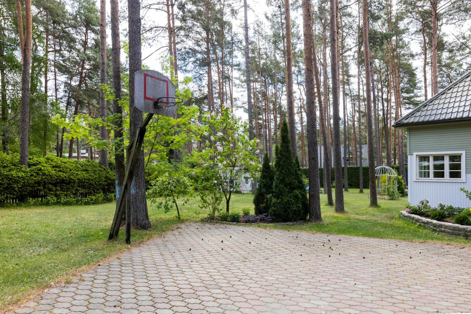 Villa Muusa with a cozy sauna, swimming pool and large beautiful garden